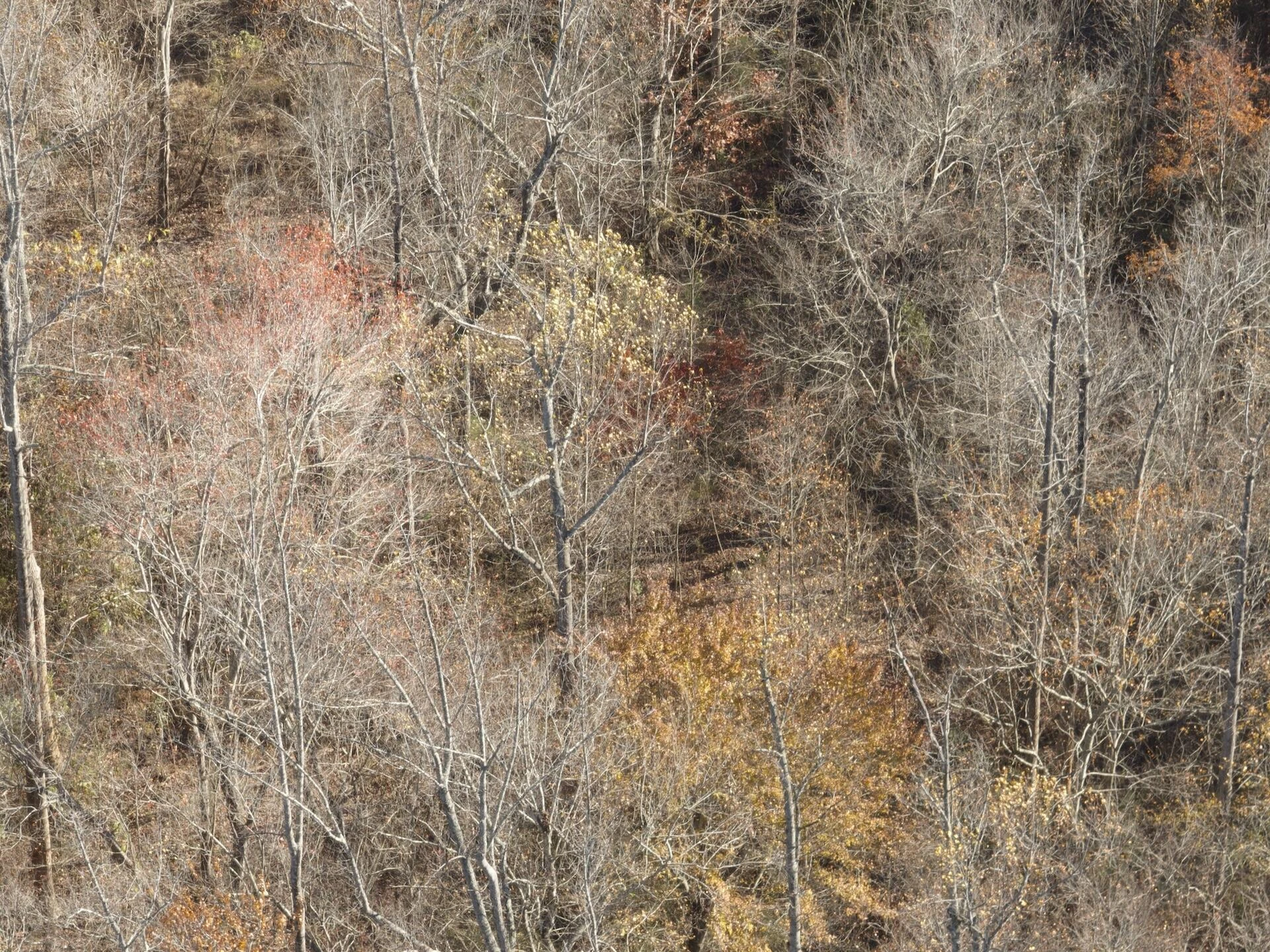 0 Beulah RD - Photo 88