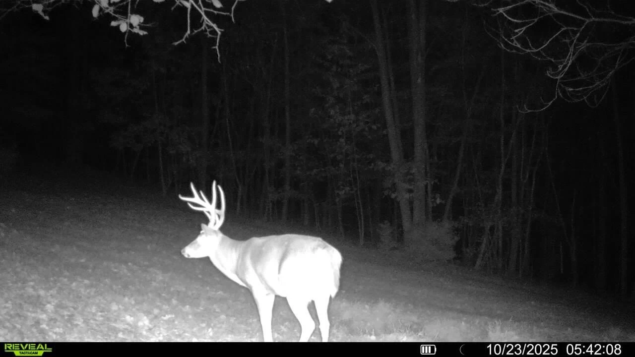 0 Beulah RD - Photo 9