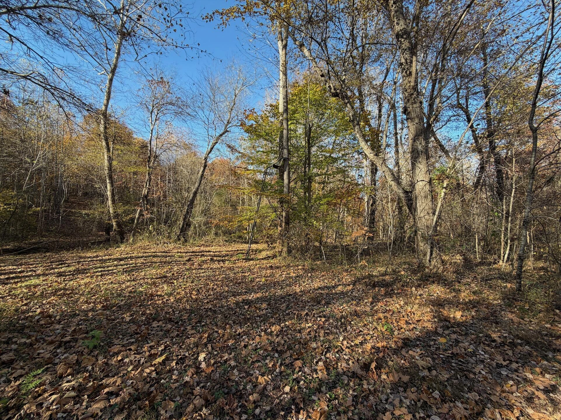 0 Beulah RD - Photo 11