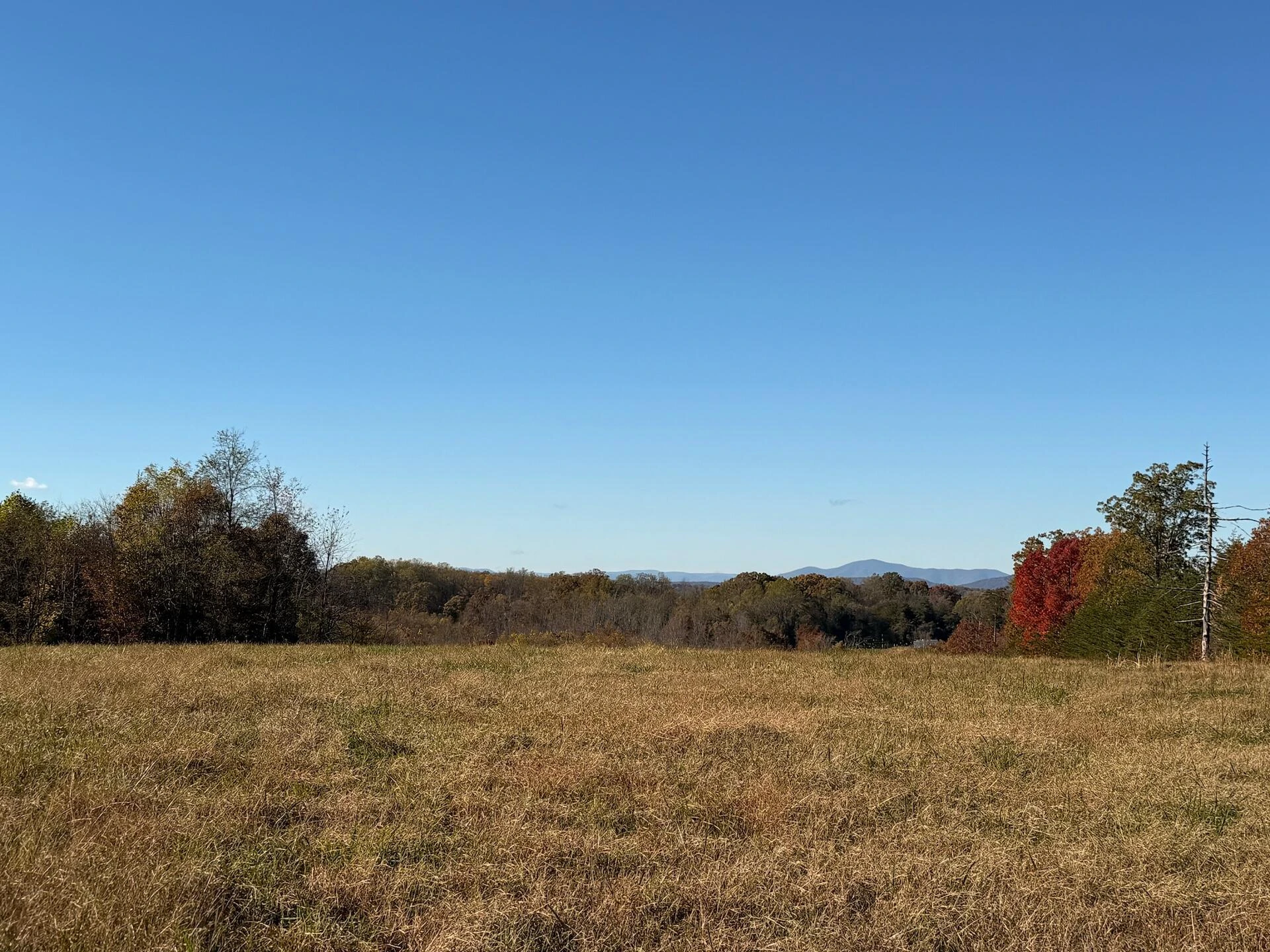 0 Beulah RD - Photo 28