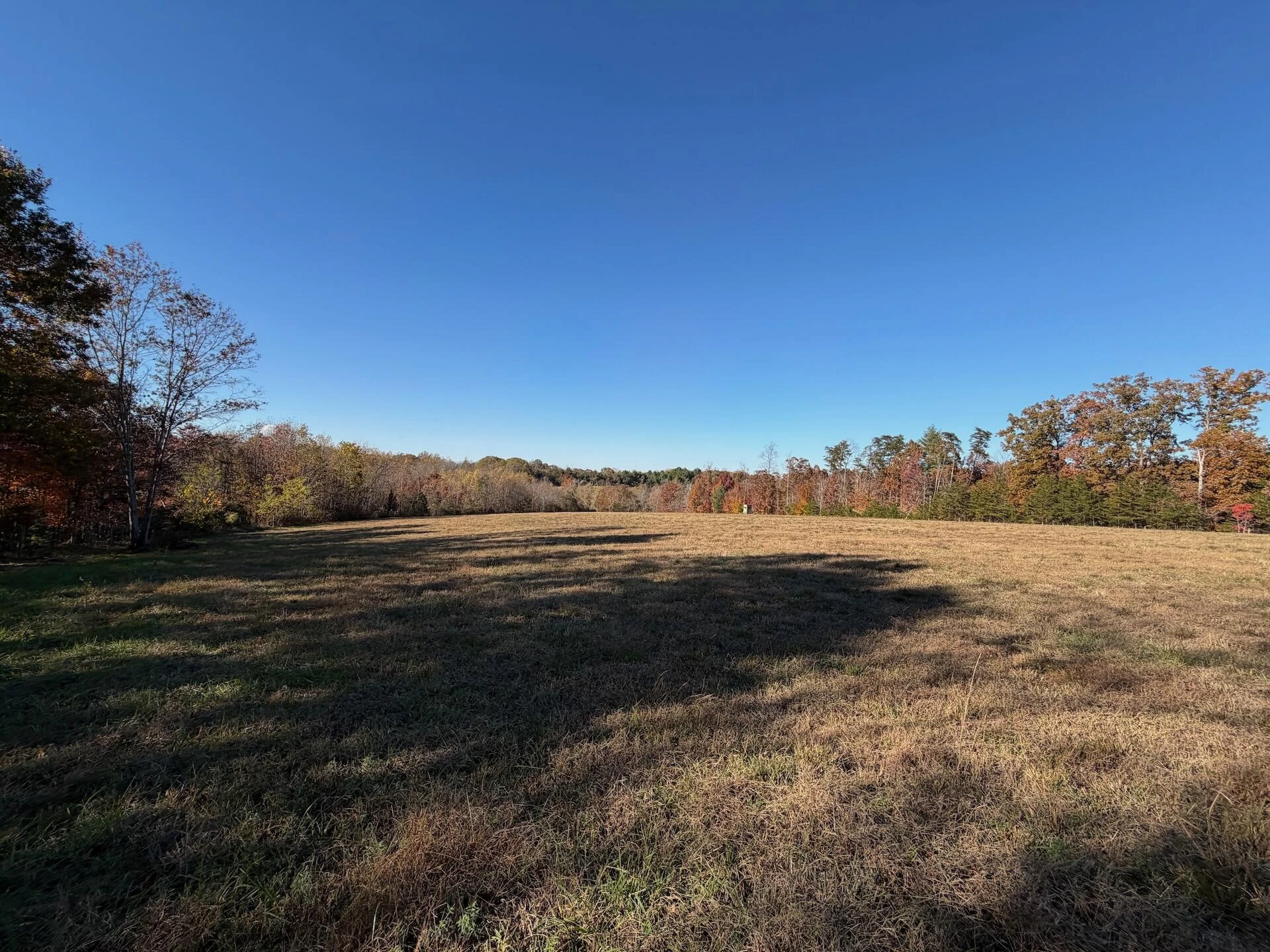 0 Beulah RD - Photo 37