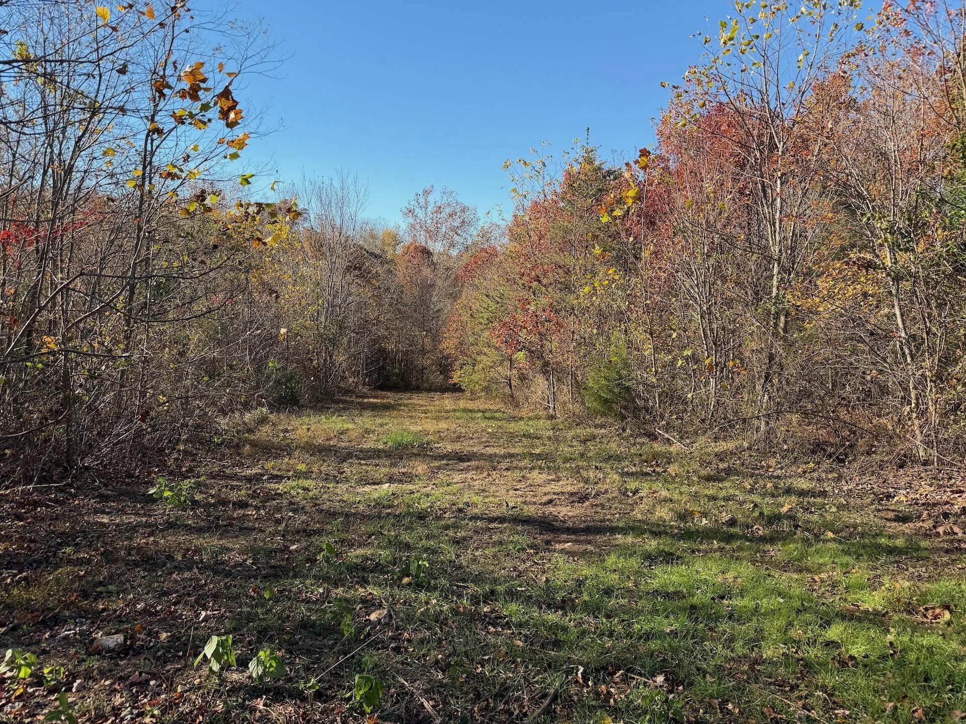 0 Beulah RD - Photo 45