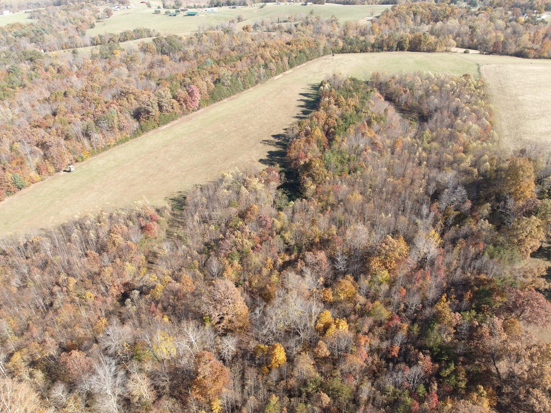 0 Beulah RD - Photo 6