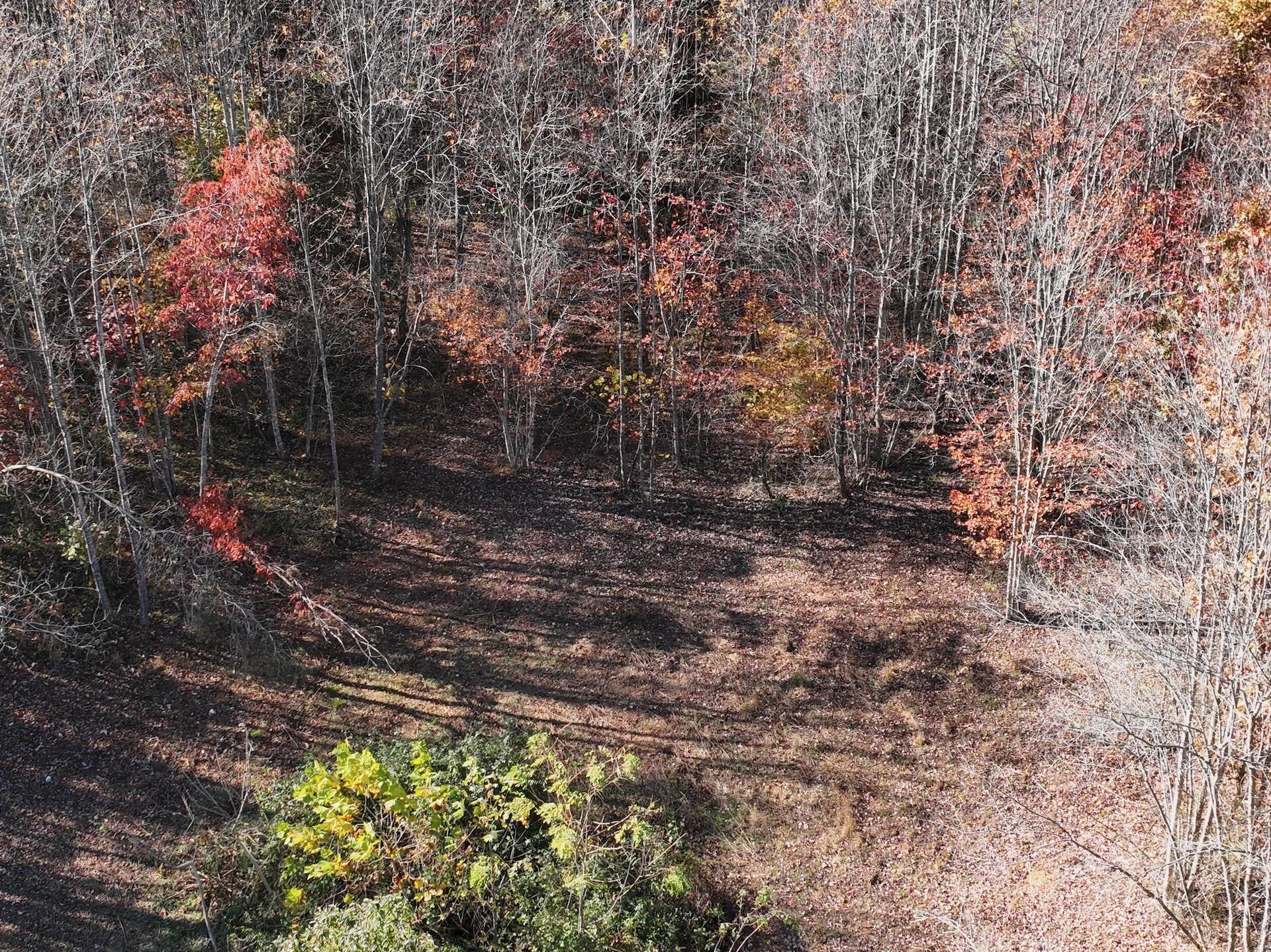 0 Beulah RD - Photo 71