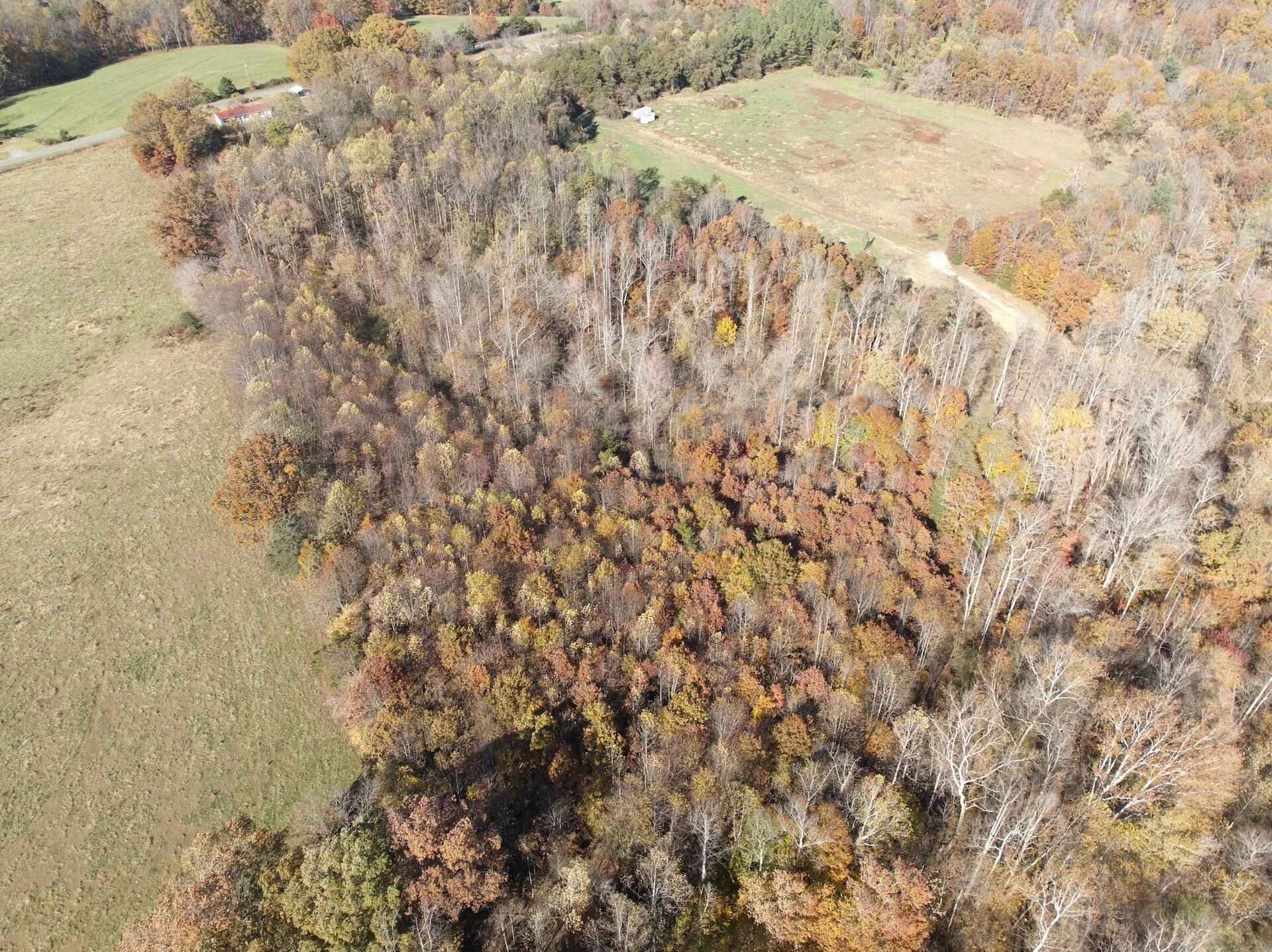 0 Beulah RD - Photo 84