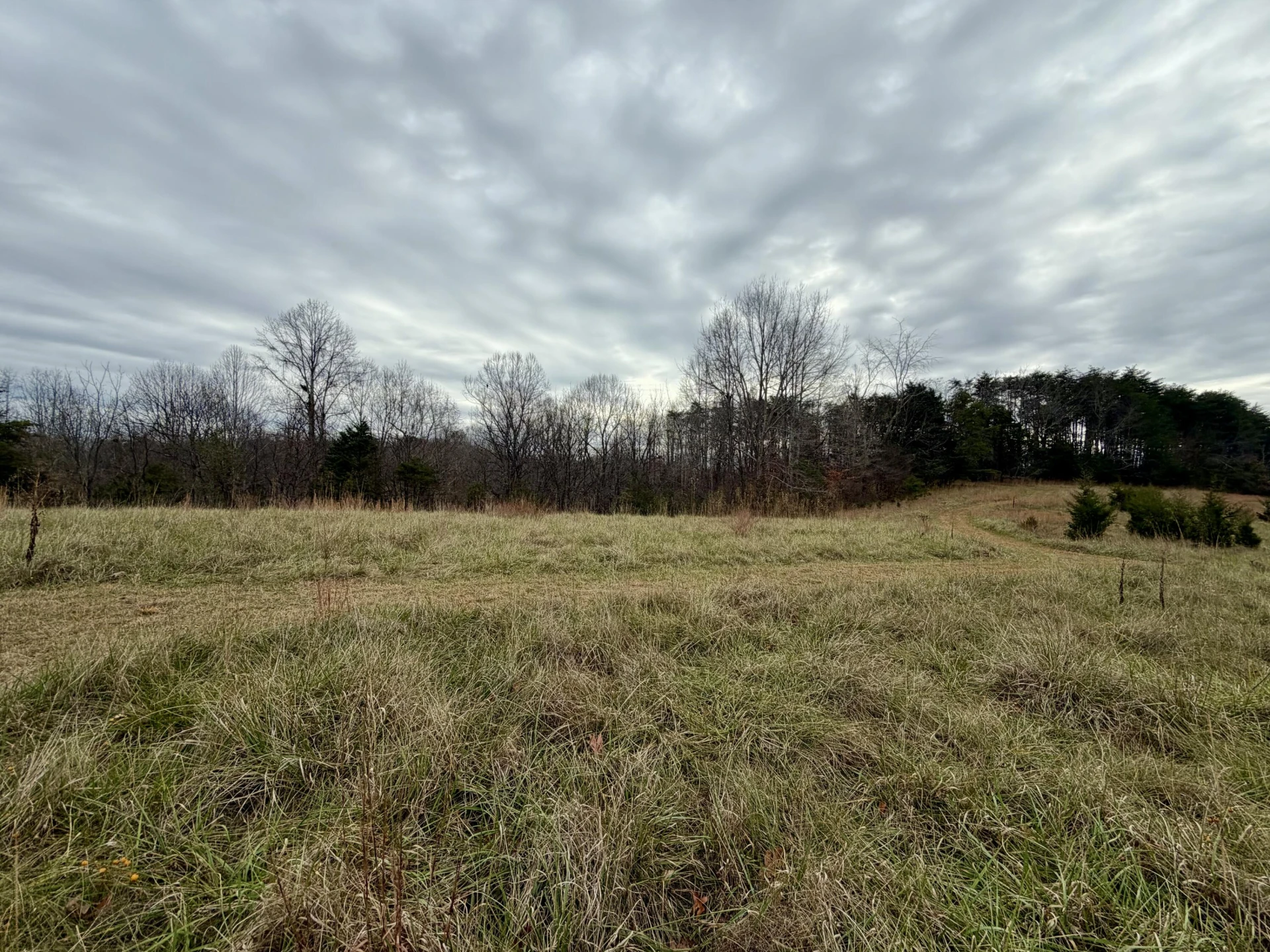 LOT 1 & 2 SUMMERFIELD RD