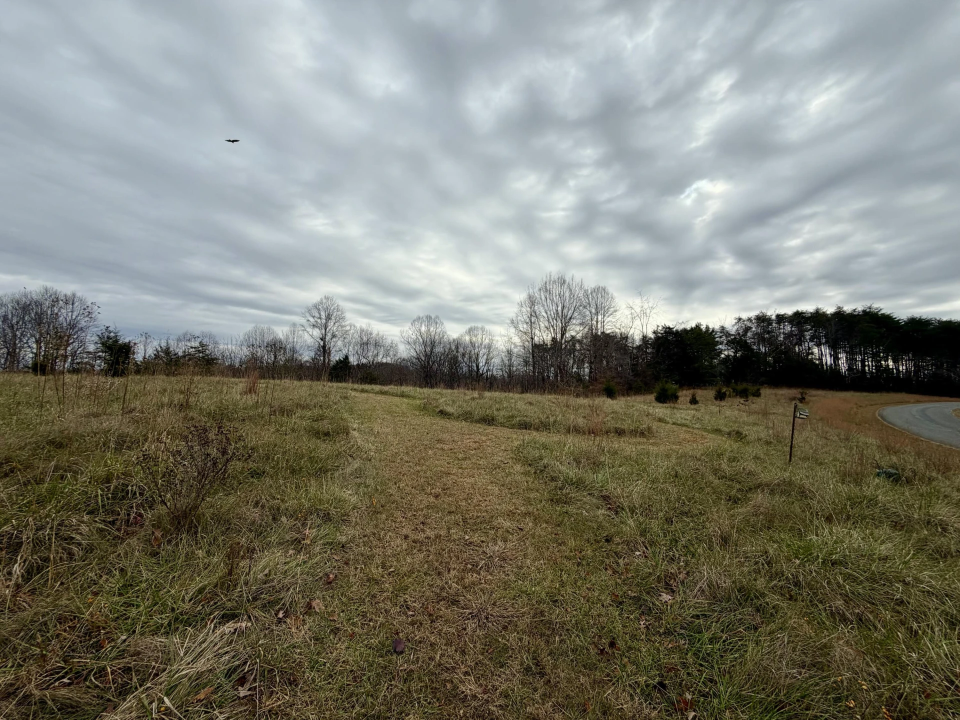 LOT 1 & 2 SUMMERFIELD RD - Photo 2