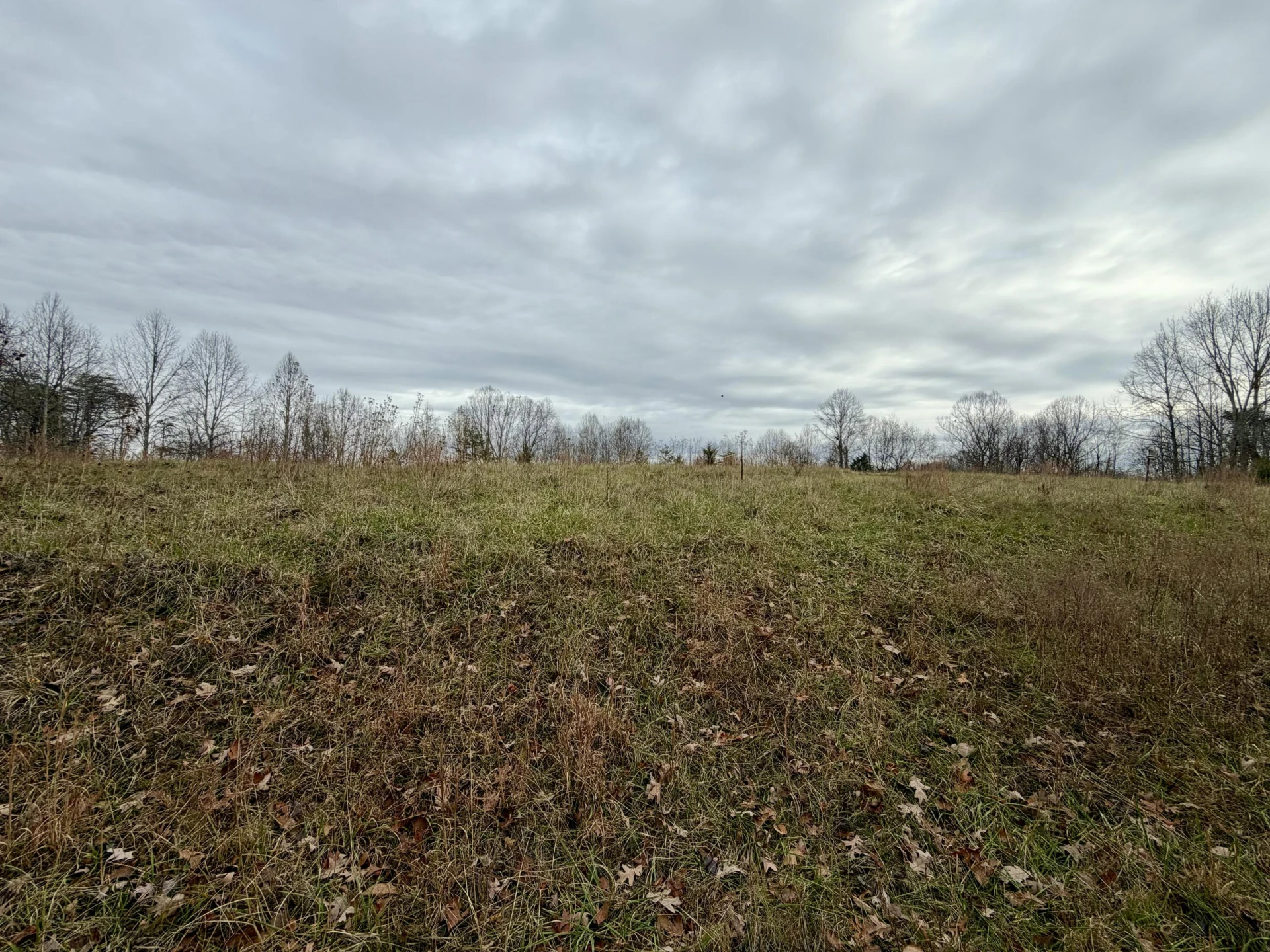 LOT 1 & 2 SUMMERFIELD RD - Photo 3
