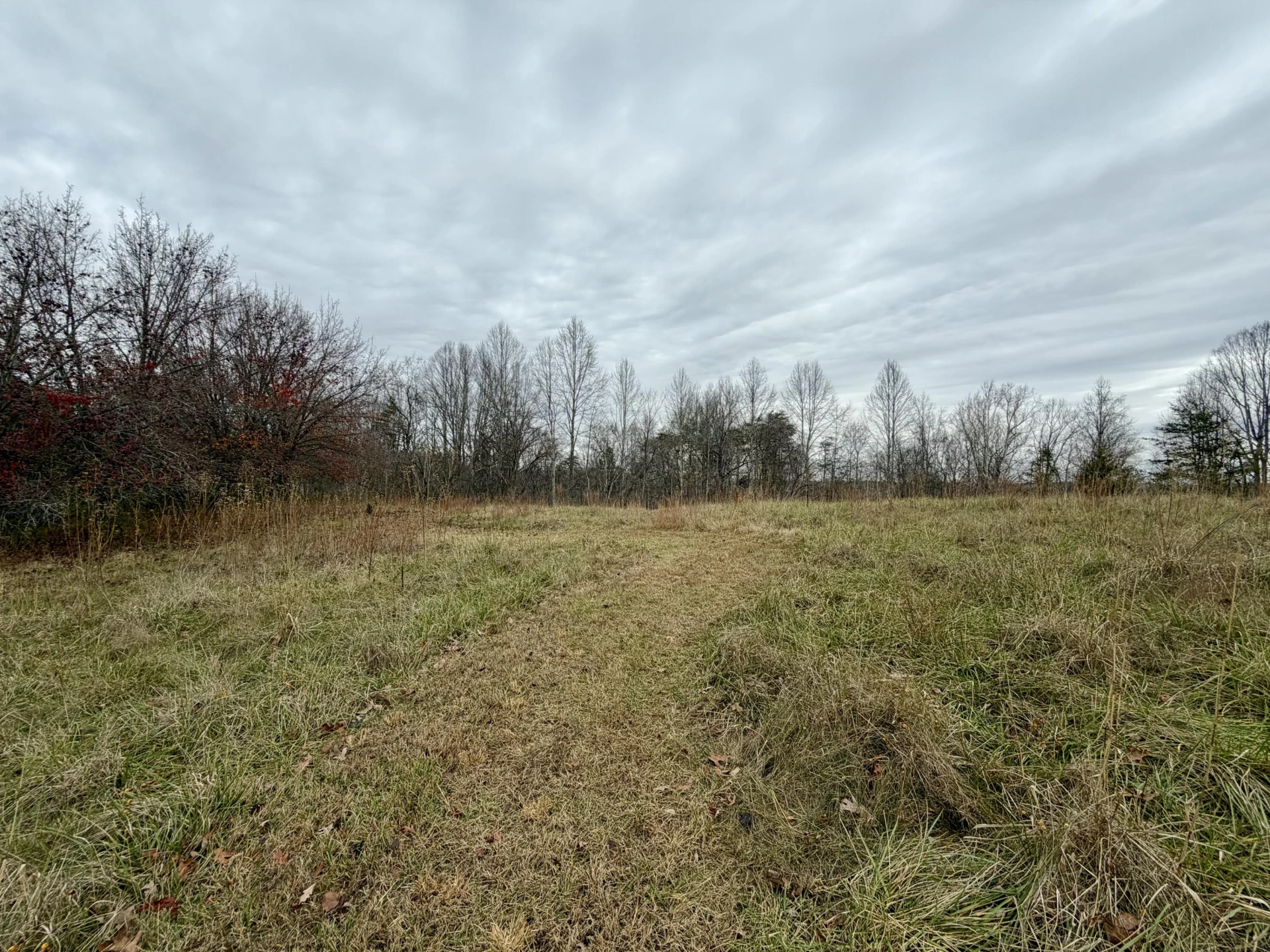 LOT 1 & 2 SUMMERFIELD RD - Photo 4