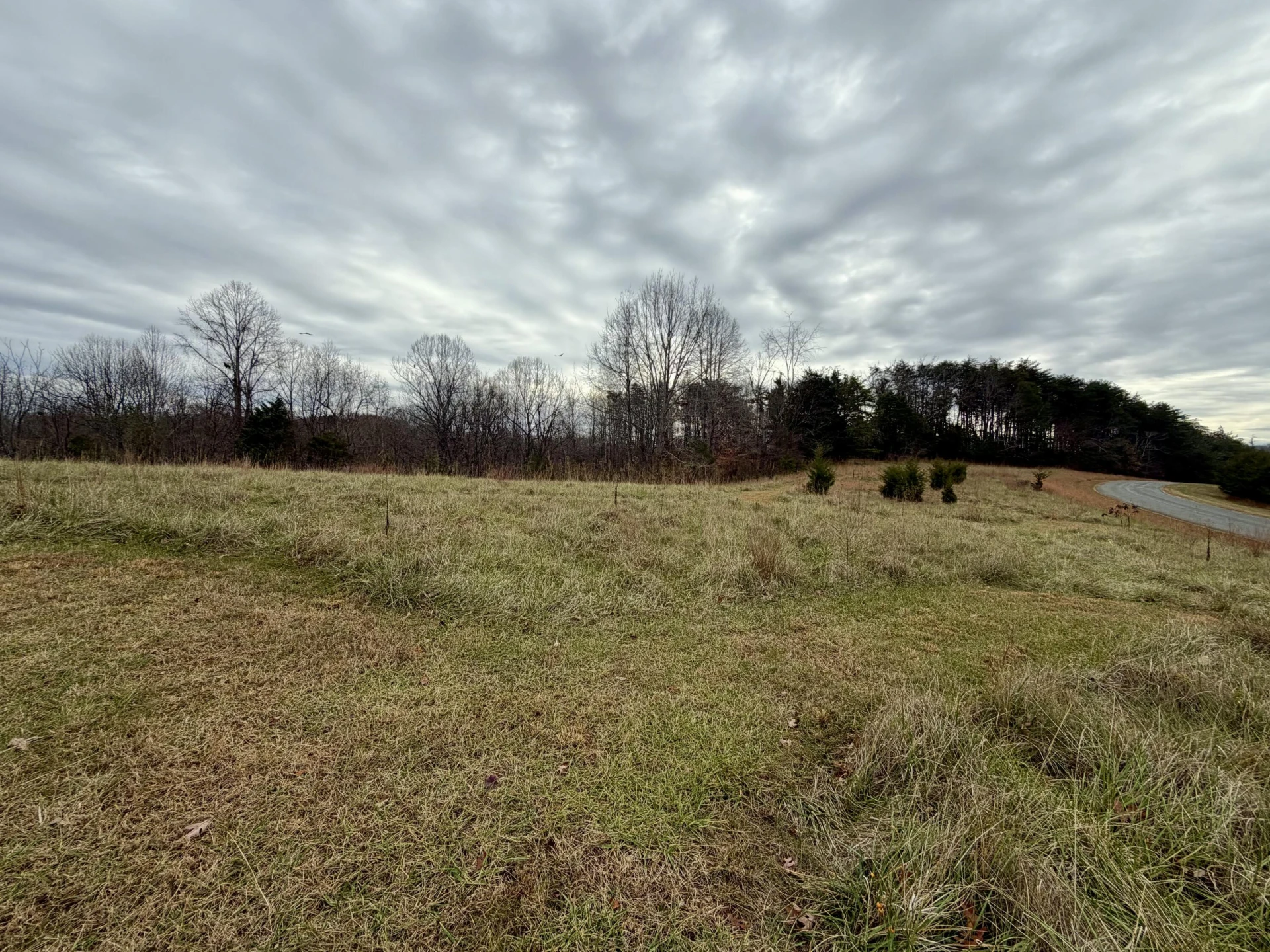 LOT 1 & 2 SUMMERFIELD RD - Photo 5