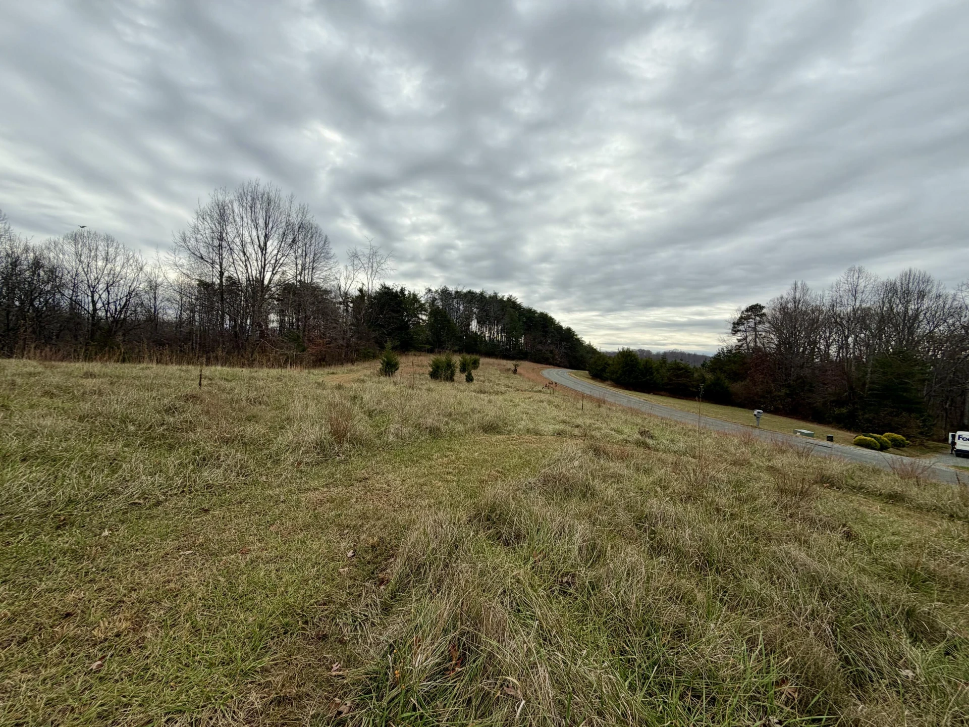 LOT 1 & 2 SUMMERFIELD RD - Photo 6