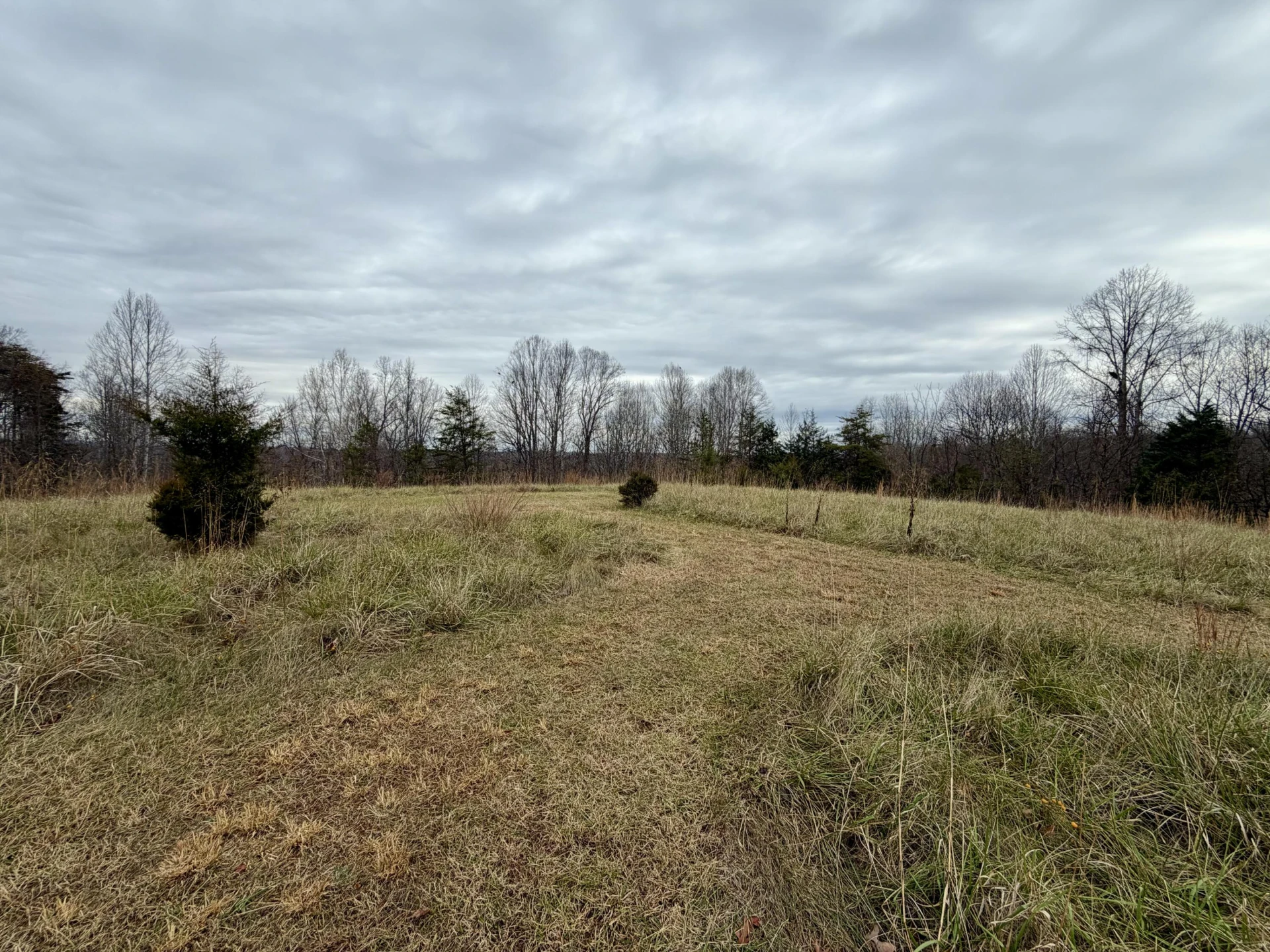 LOT 1 & 2 SUMMERFIELD RD - Photo 7
