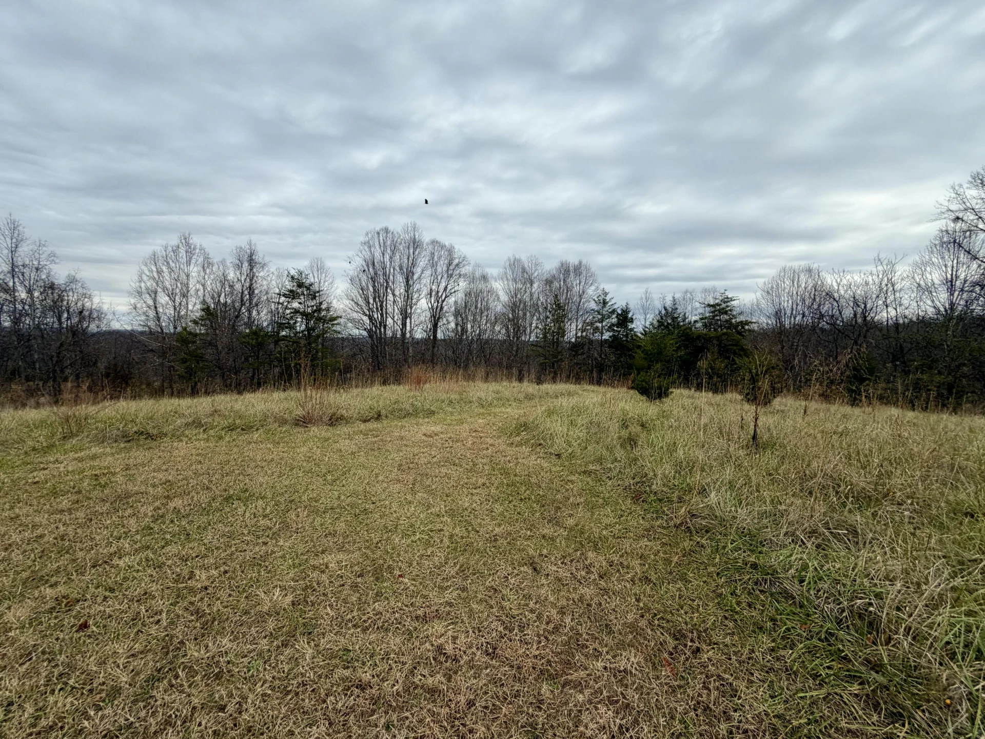 LOT 1 & 2 SUMMERFIELD RD - Photo 8