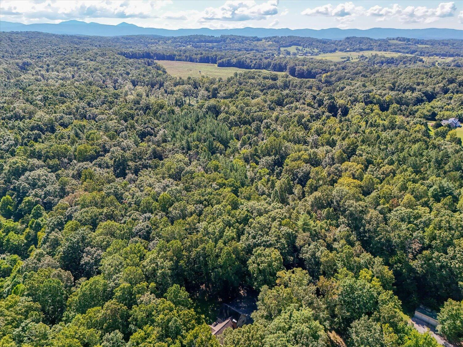 578 Kyles Mill RD - Photo 54