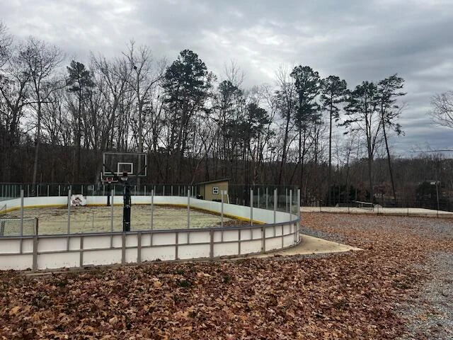 305 Mill Lake RD - Photo 61