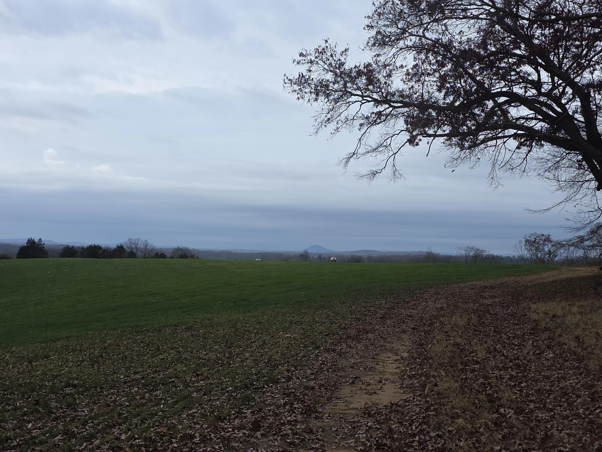 0 Old Franklin Turnpike - Photo 10