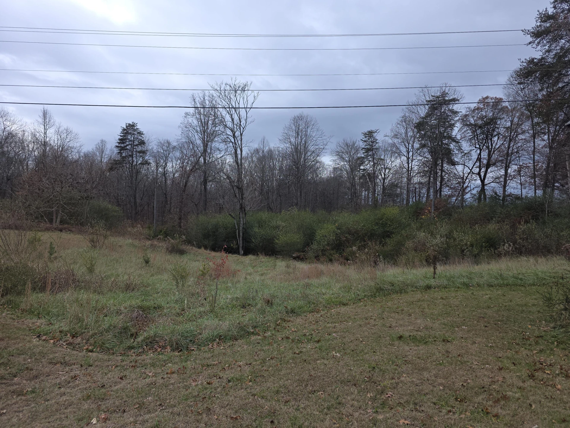 0 Old Franklin Turnpike - Photo 6
