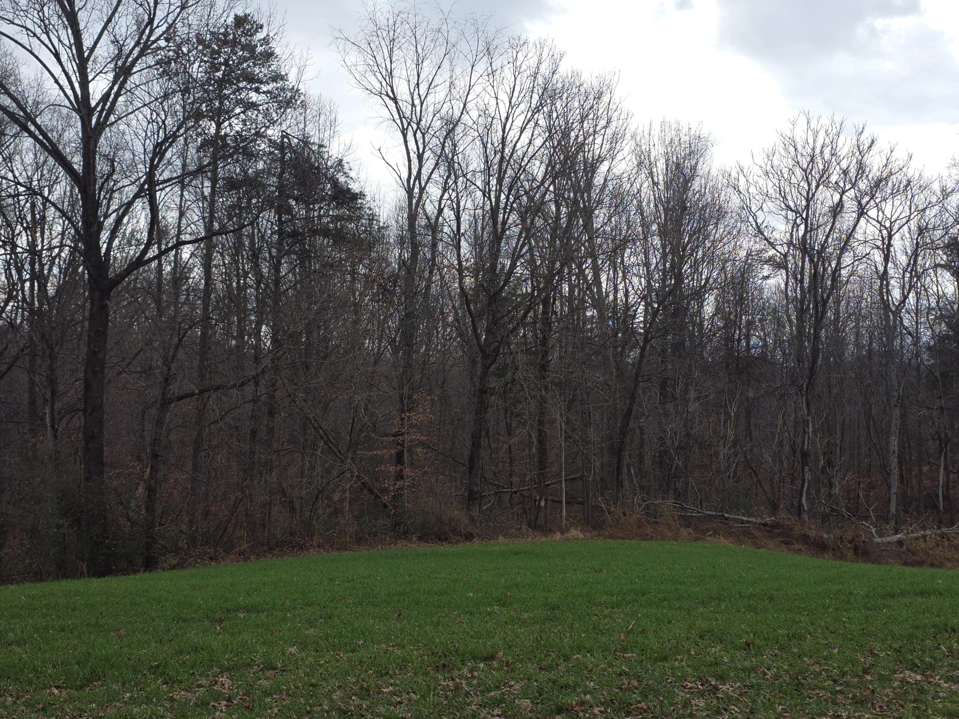 0 Old Franklin Turnpike - Photo 9
