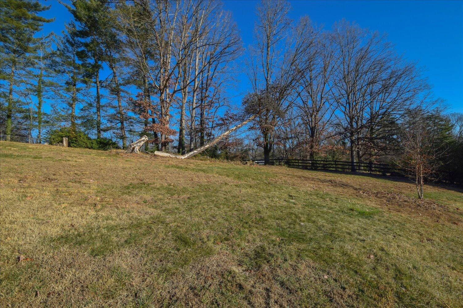 2539 Brambleton AVE SW - Photo 32