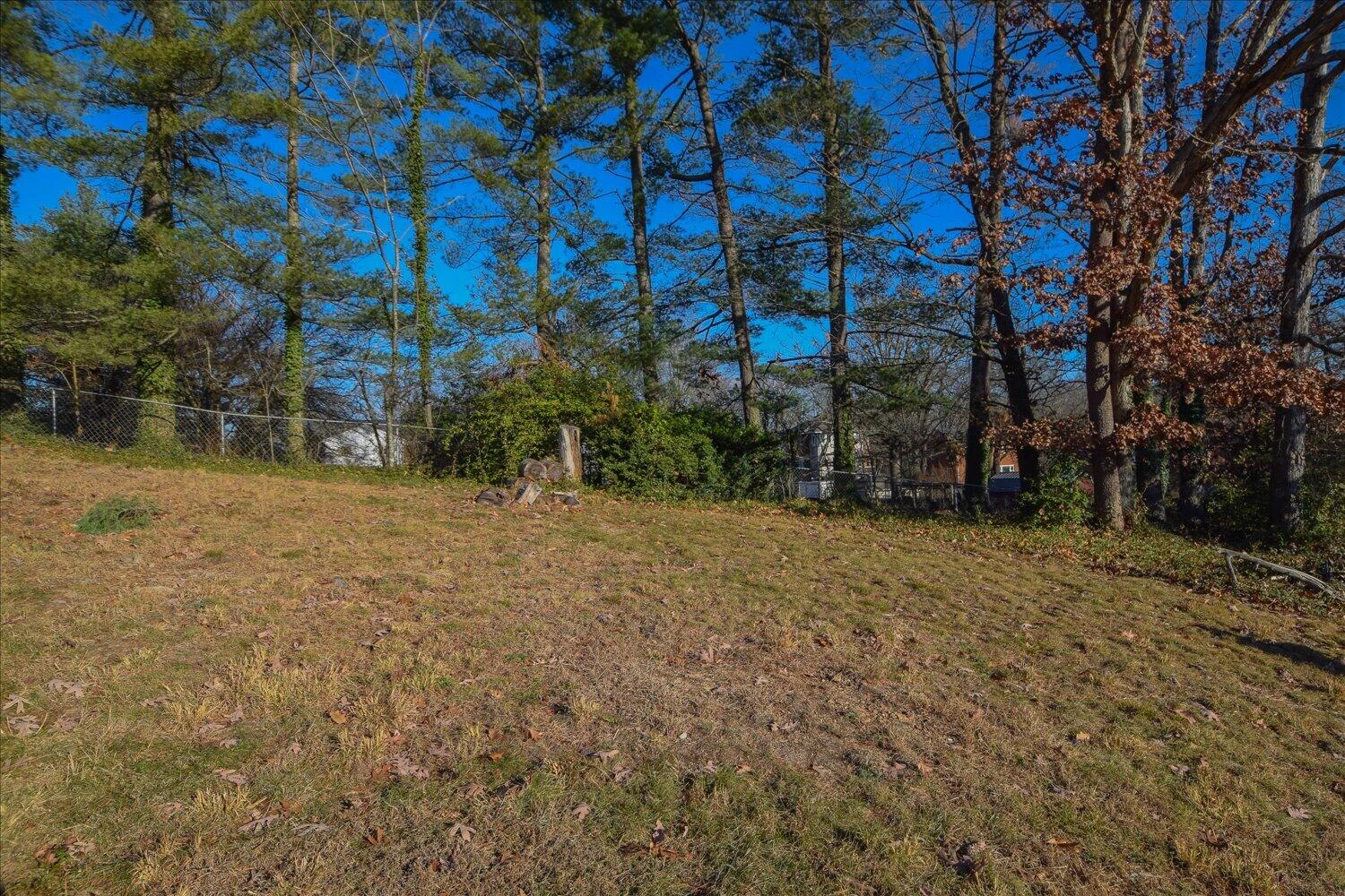 2539 Brambleton AVE SW - Photo 34