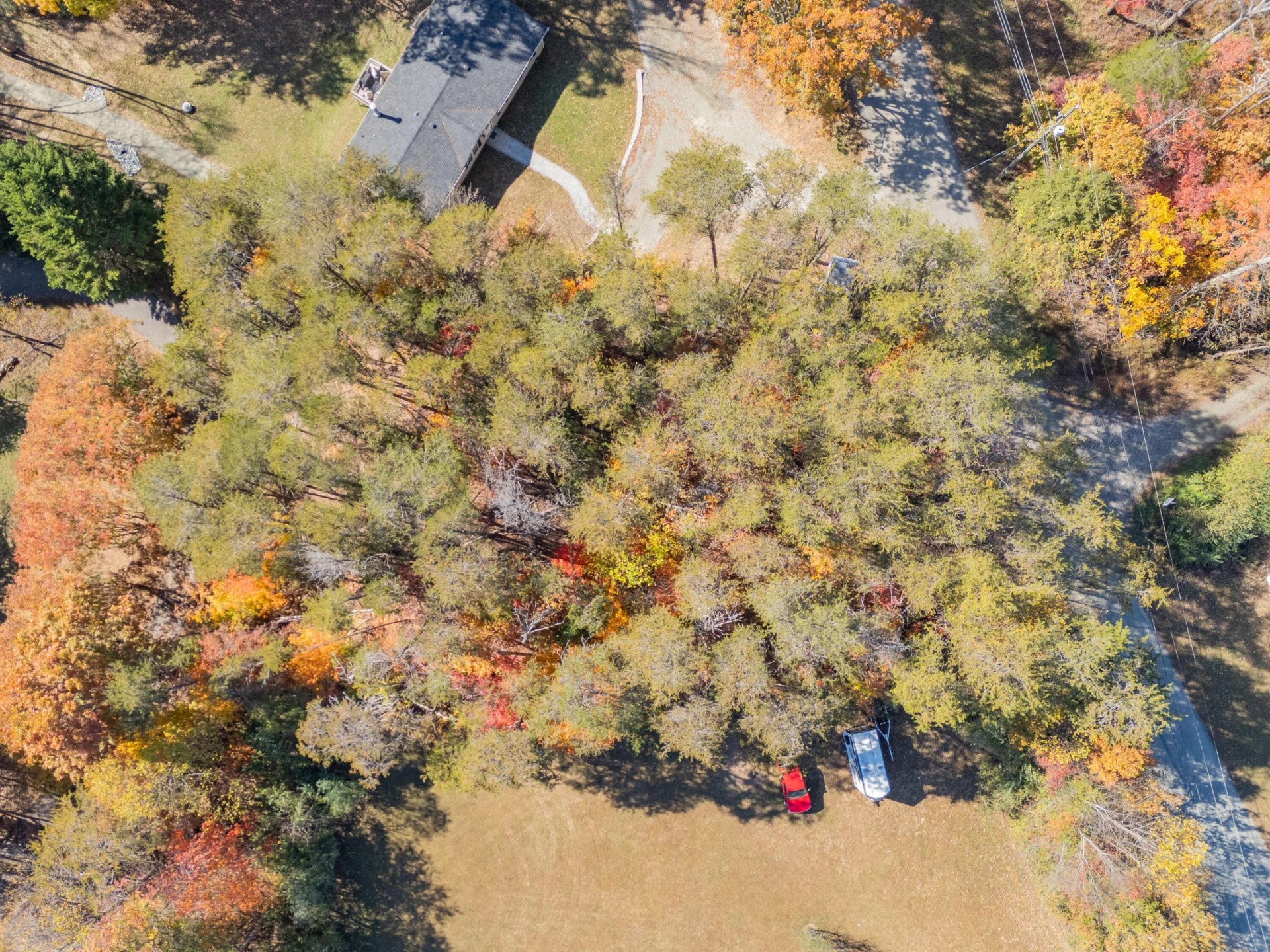 TBD Lakewood Forest RD - Photo 11