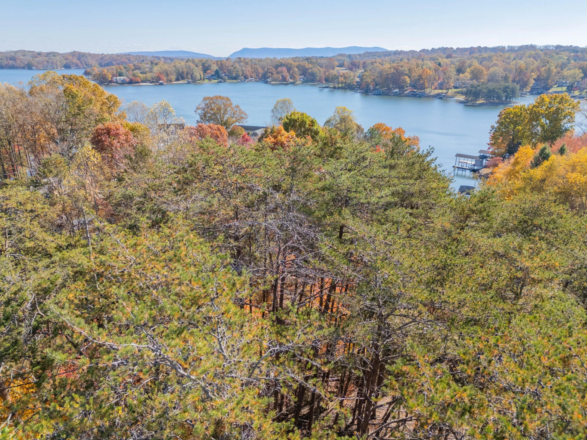 TBD Lakewood Forest RD - Photo 20