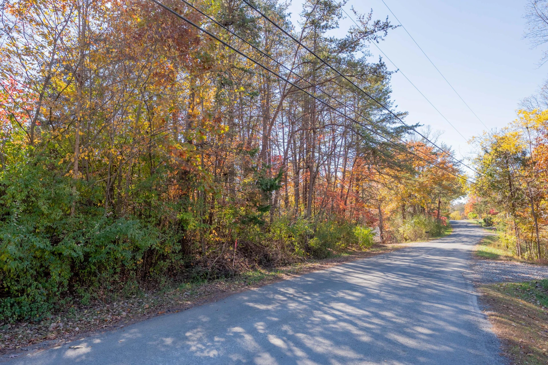 TBD Lakewood Forest RD - Photo 21