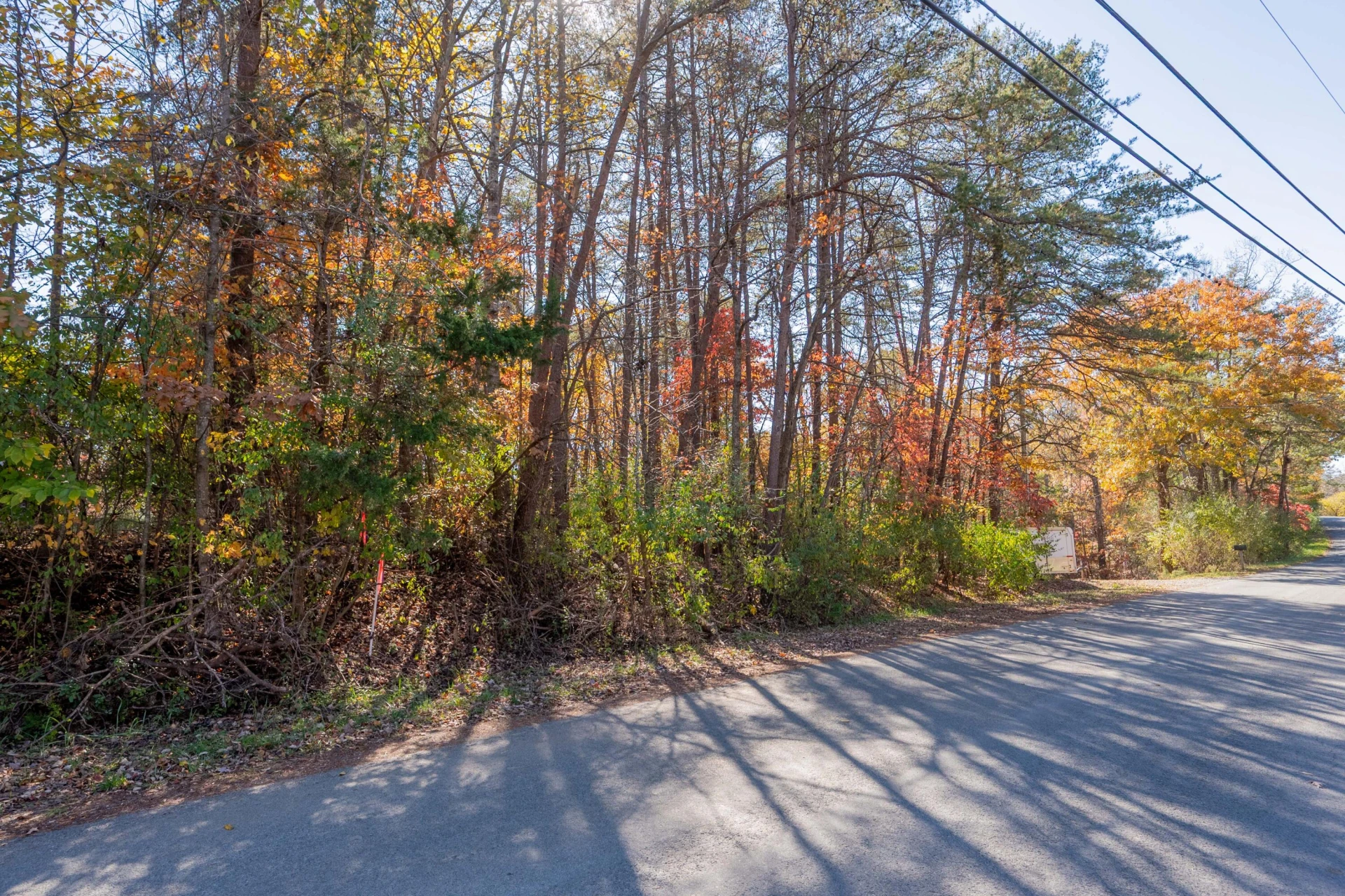 TBD Lakewood Forest RD - Photo 22