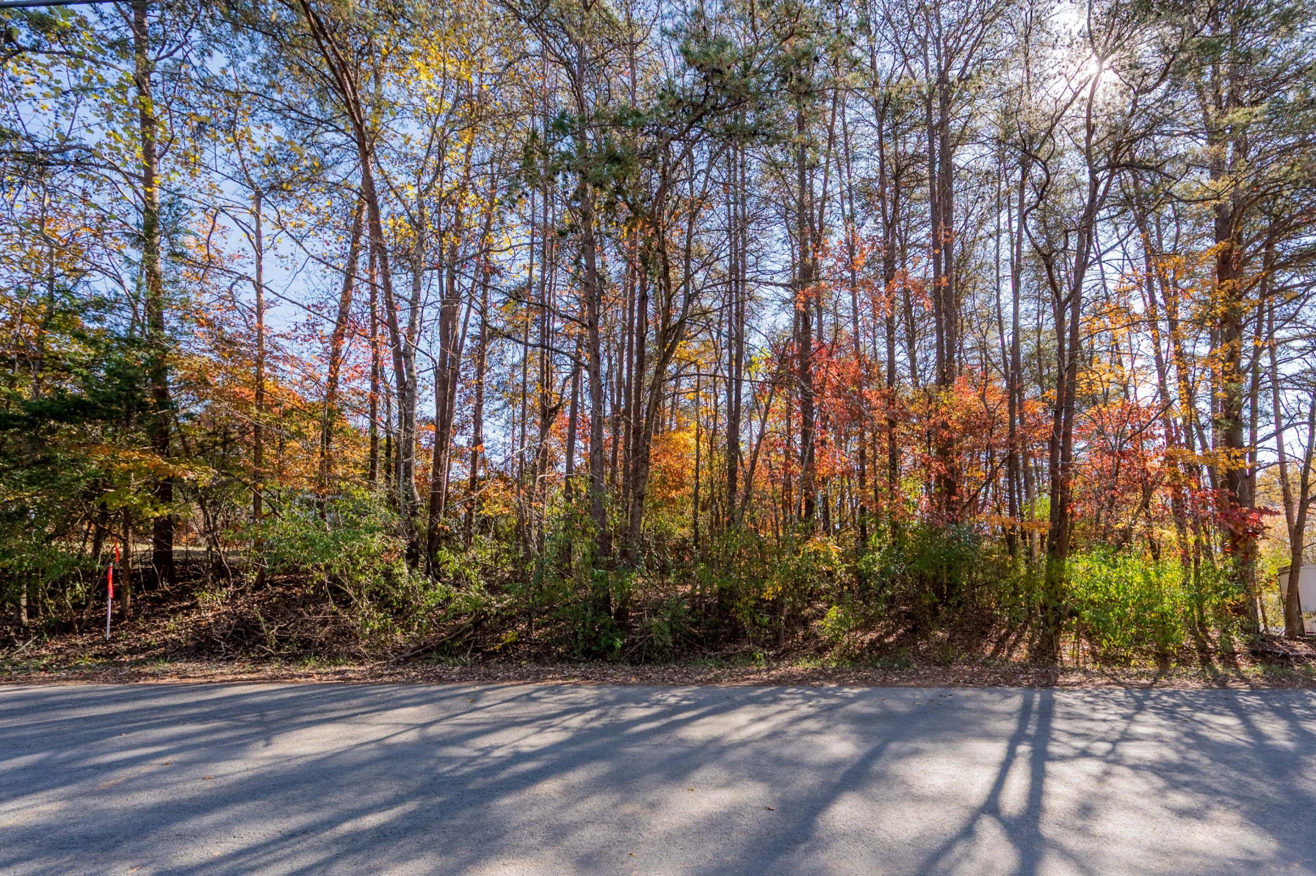TBD Lakewood Forest RD - Photo 23
