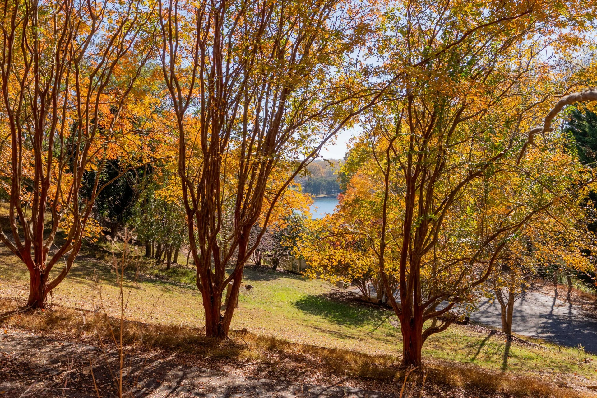 TBD Lakewood Forest RD - Photo 27