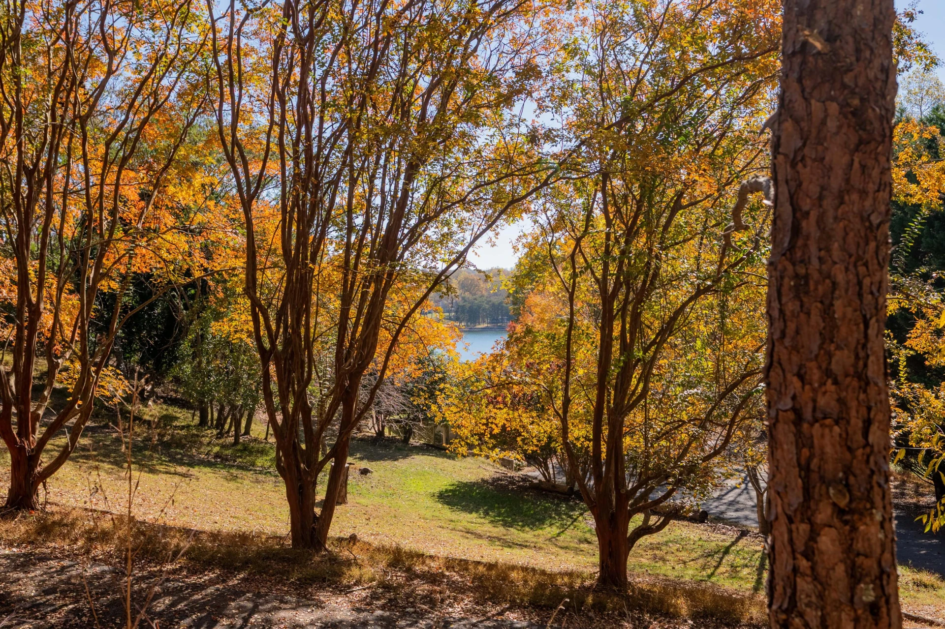 TBD Lakewood Forest RD - Photo 30