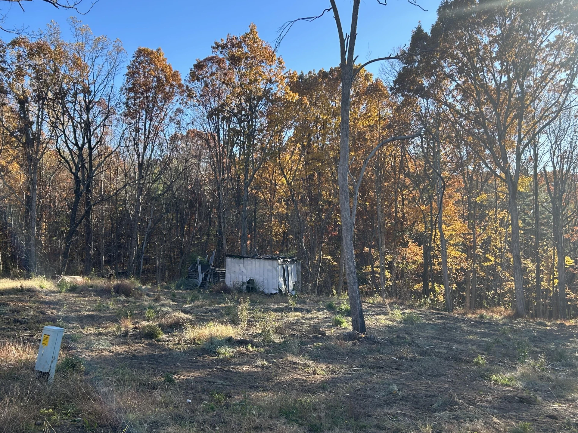 3102 Old Forge RD - Photo 3