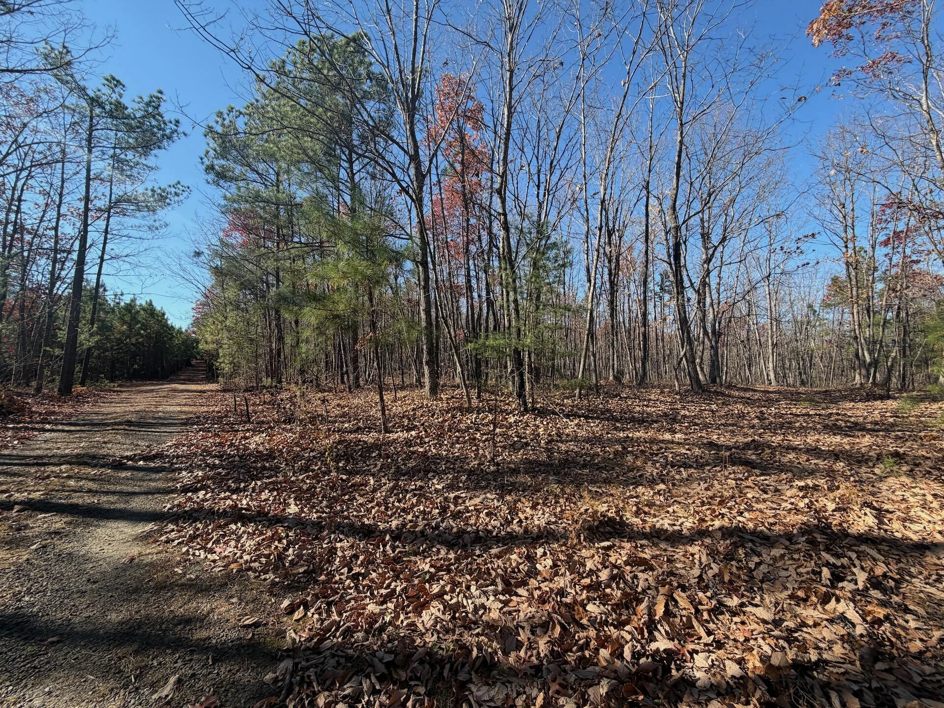 0 Lemon Ridge LN - Photo 10