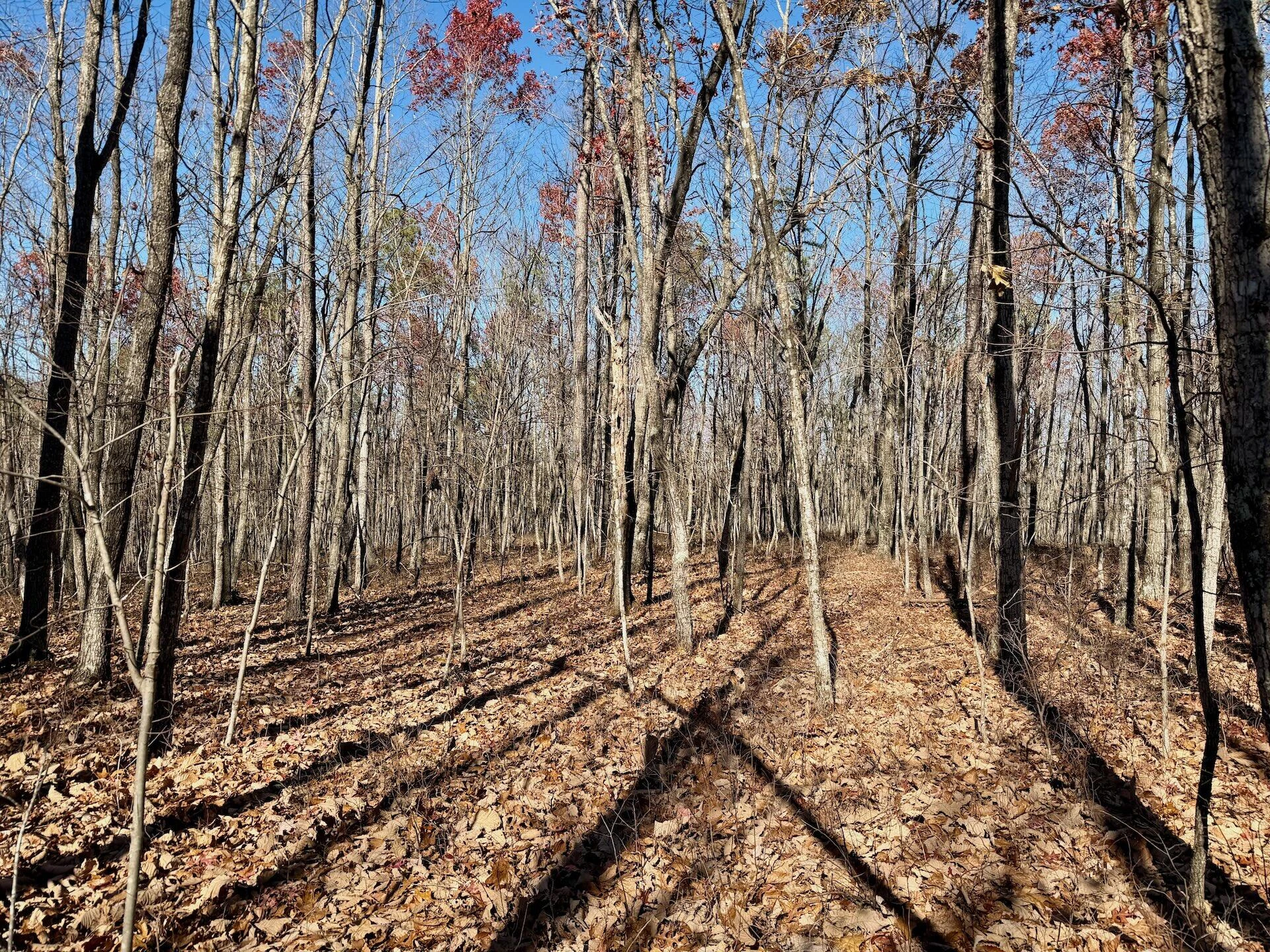 0 Lemon Ridge LN - Photo 12