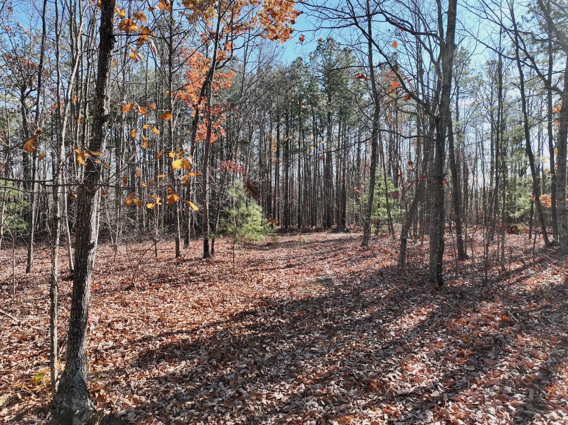 0 Lemon Ridge LN - Photo 23
