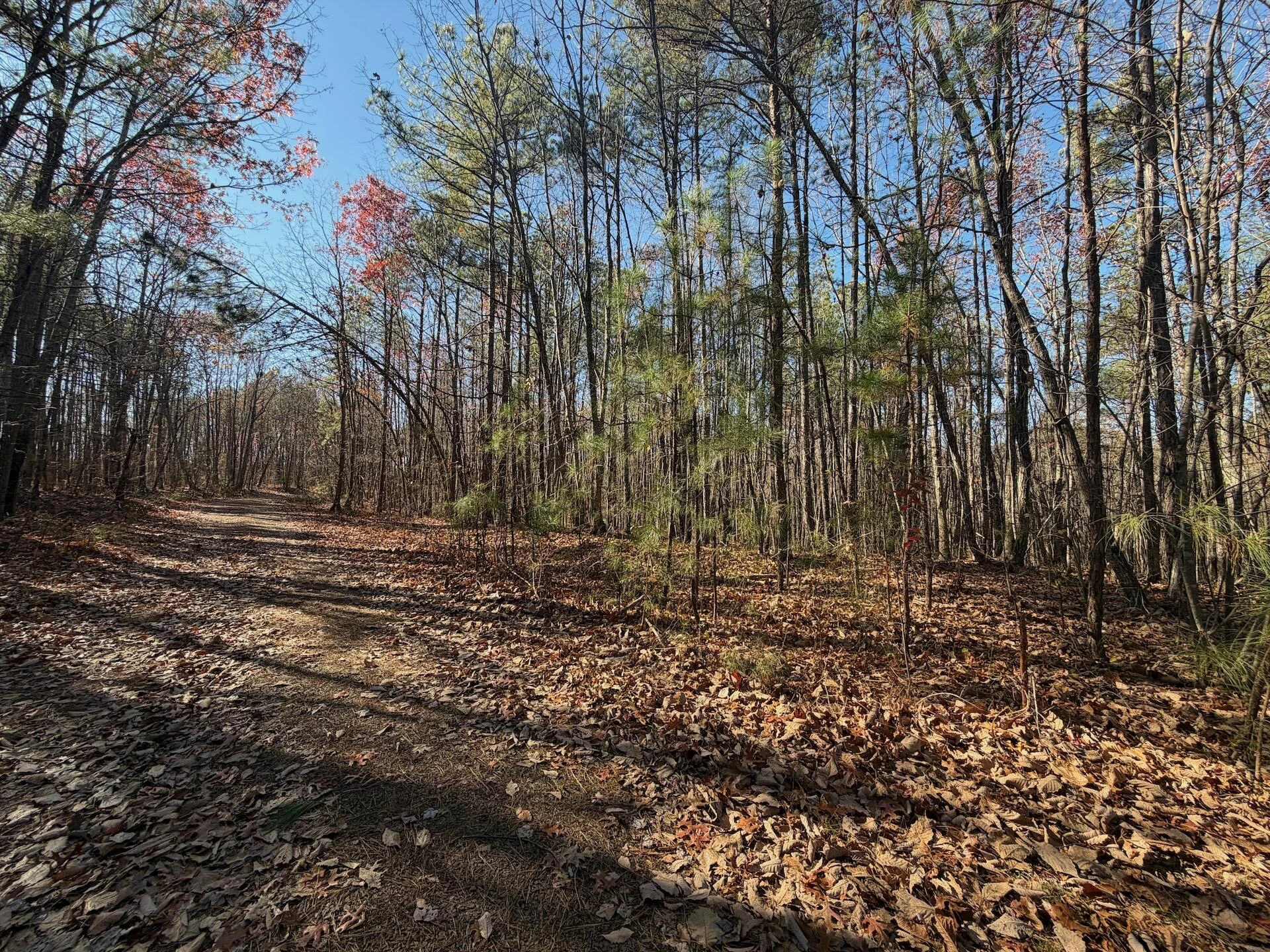 0 Lemon Ridge LN - Photo 24