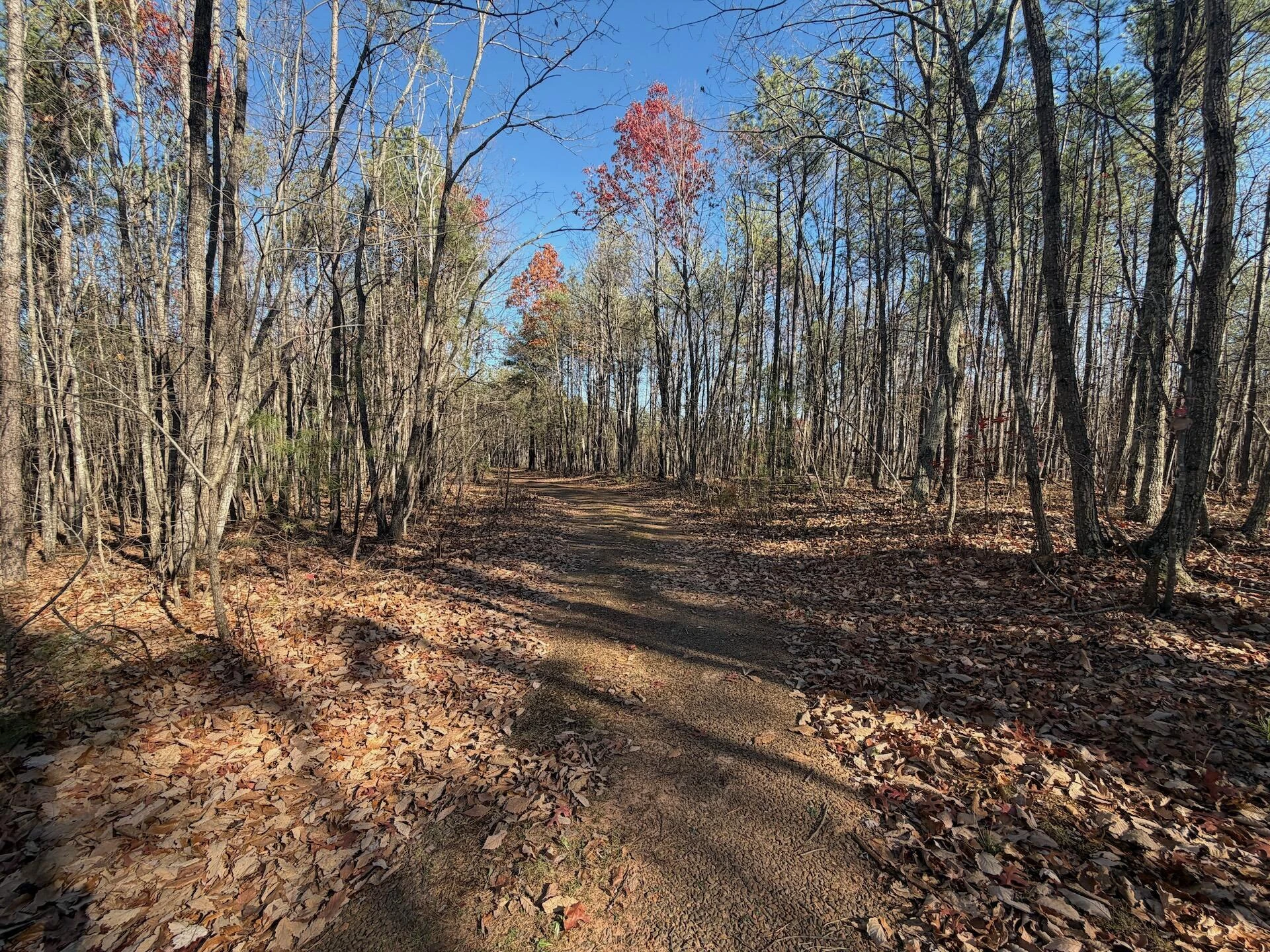 0 Lemon Ridge LN - Photo 25