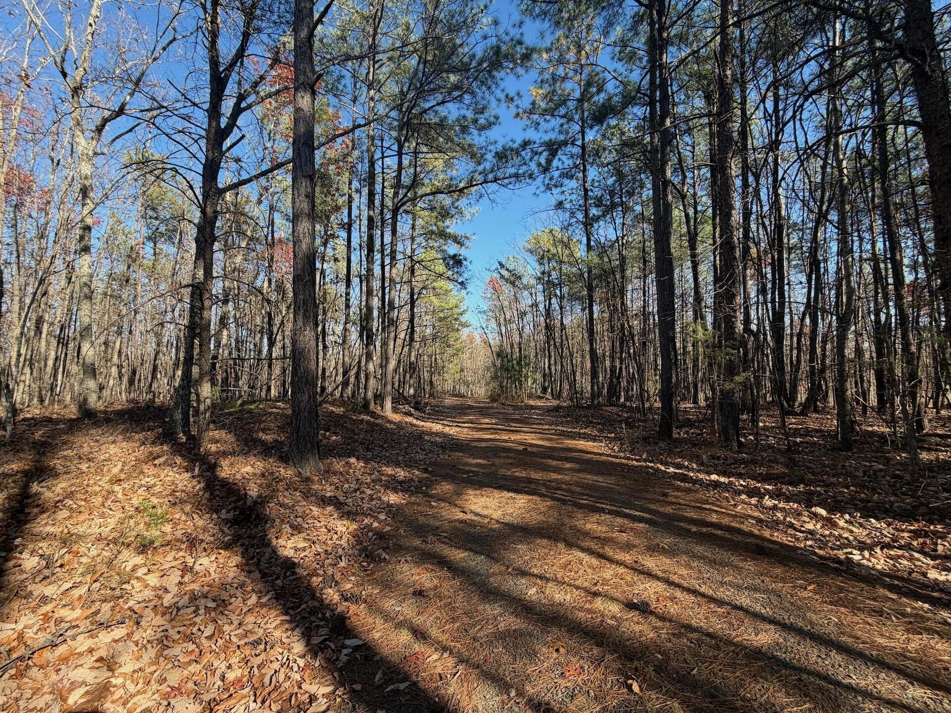 0 Lemon Ridge LN - Photo 26
