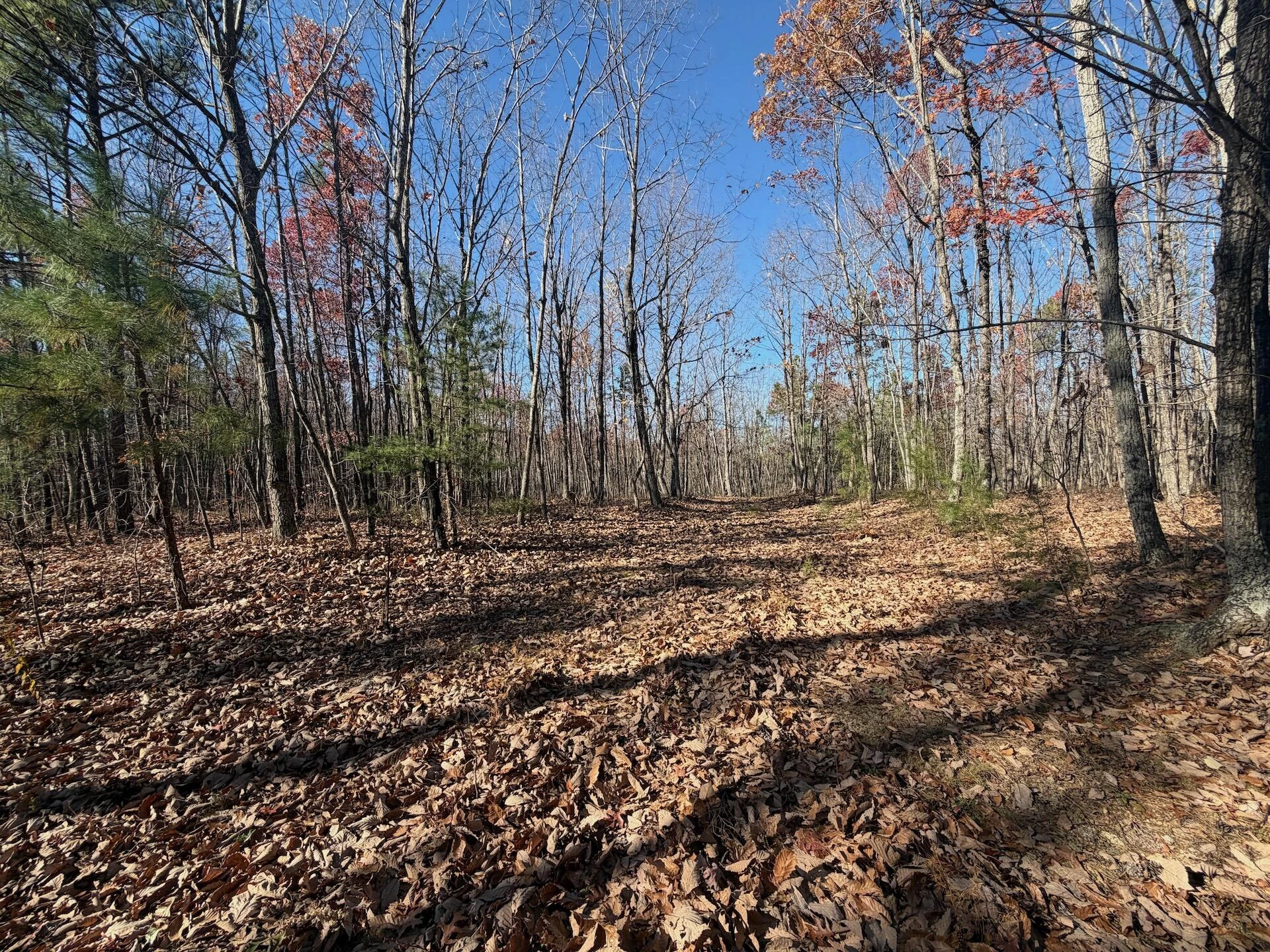 0 Lemon Ridge LN - Photo 3