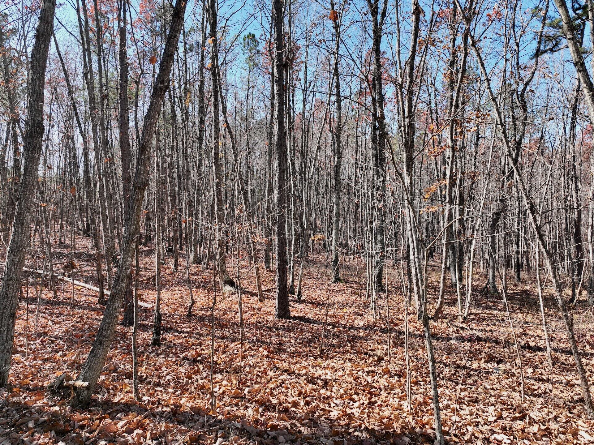 0 Lemon Ridge LN - Photo 33