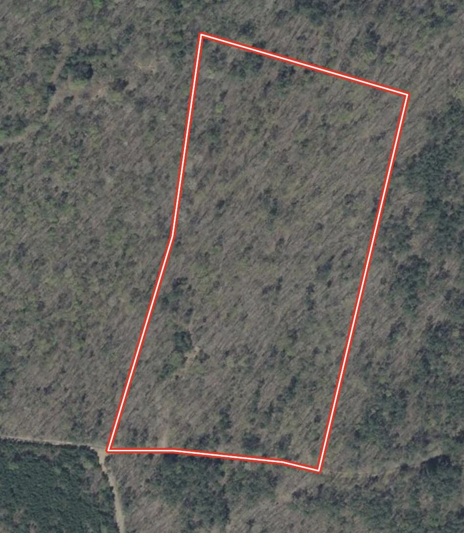 0 Lemon Ridge LN - Photo 4