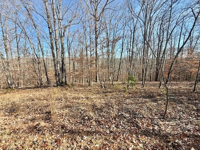 Lot 16 Gap Bridge RD