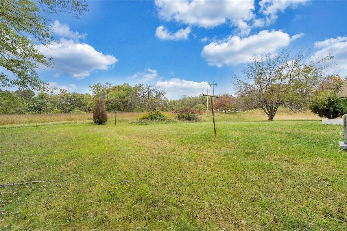117 Blue Ridge DR - Photo 8