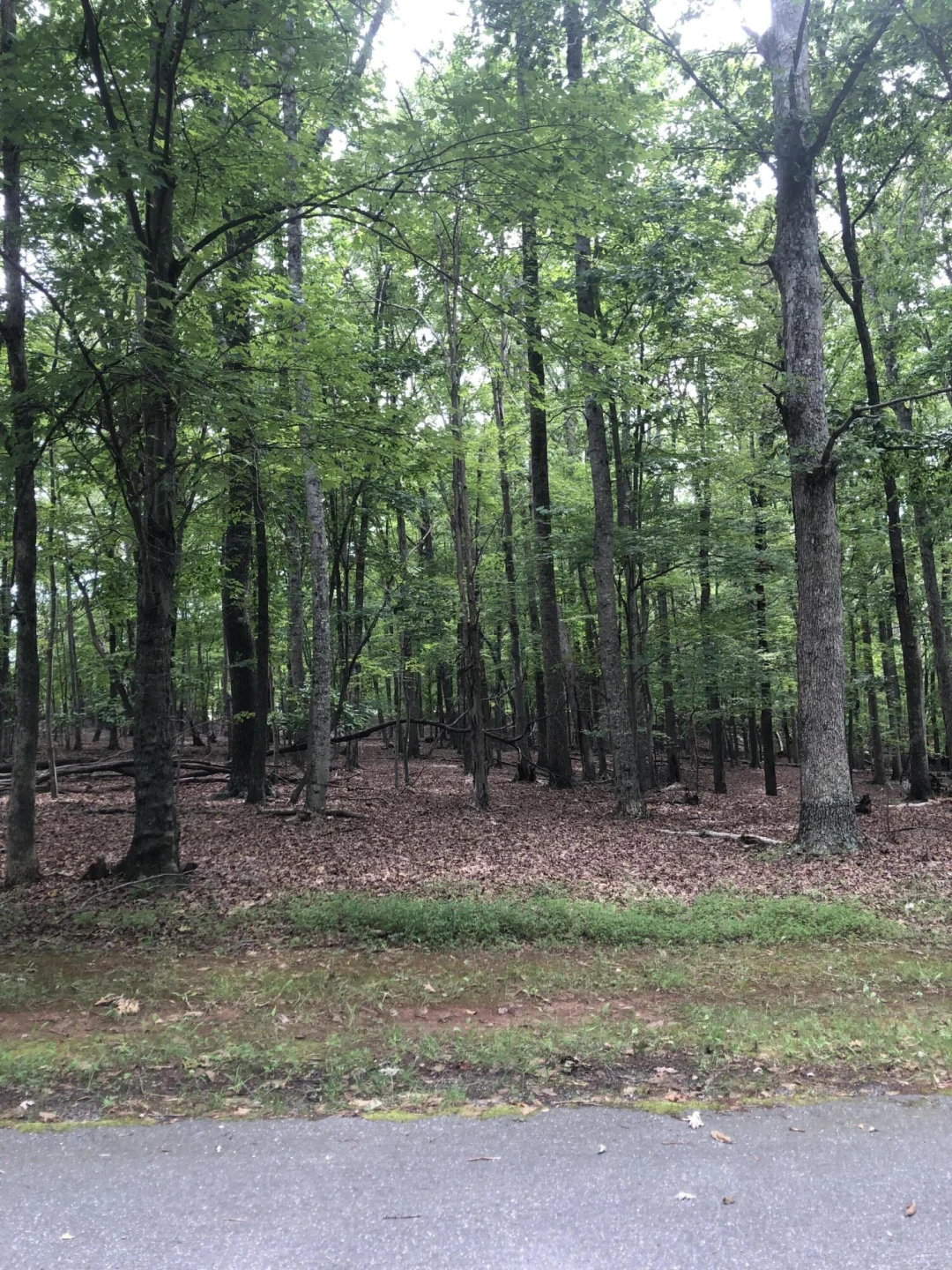 Lot 232 Lake Front CIR - Photo 2