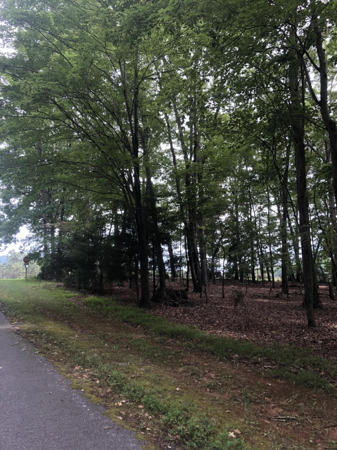 Lot 232 Lake Front CIR - Photo 4