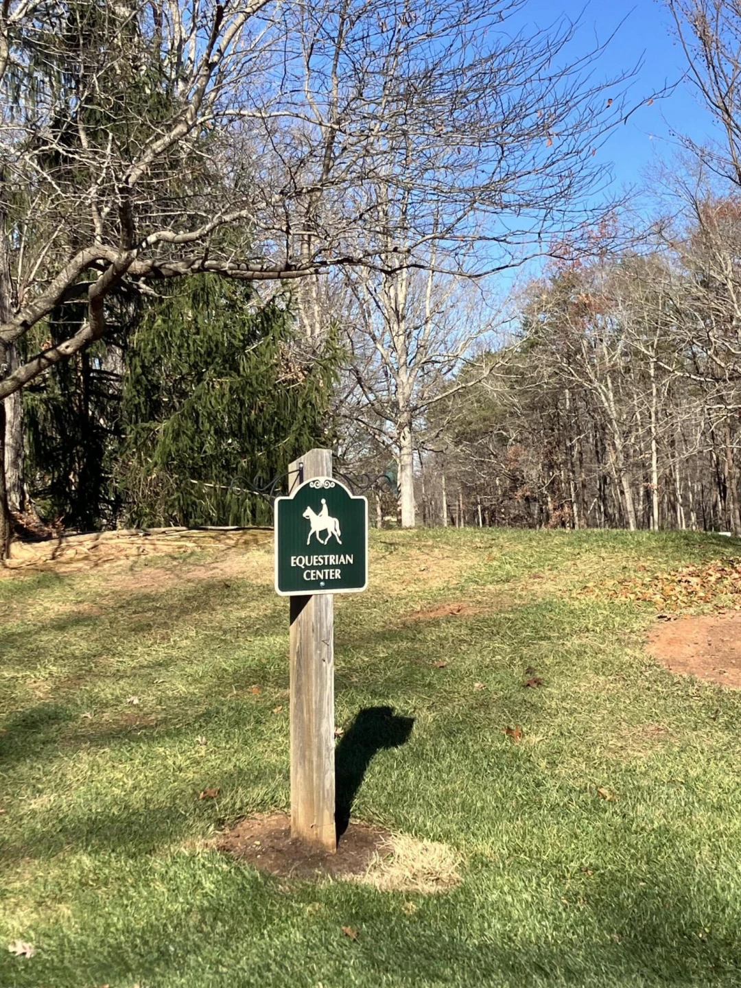 Lot 232 Lake Front CIR - Photo 5