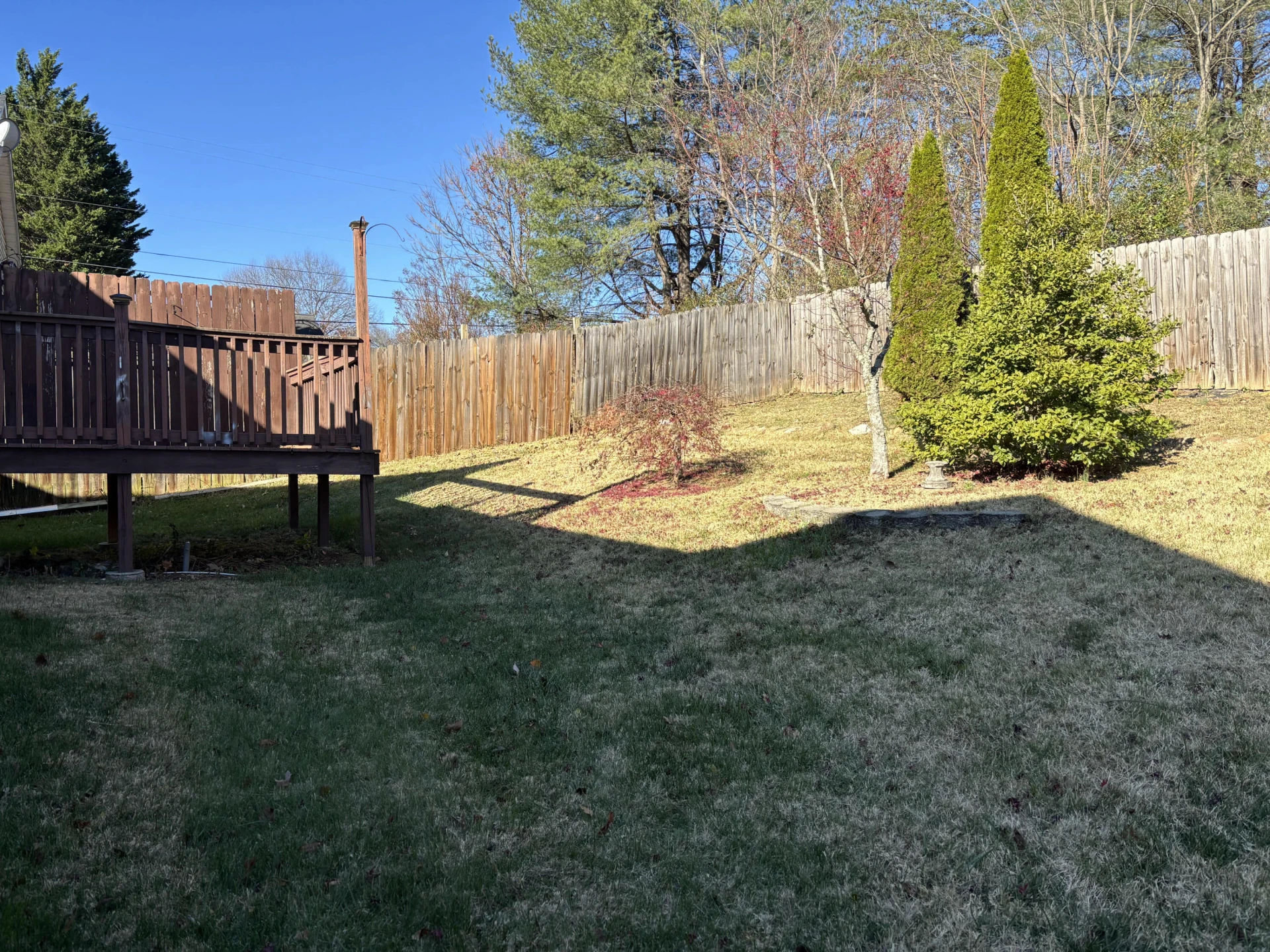 506 Gavin CIR - Photo 3