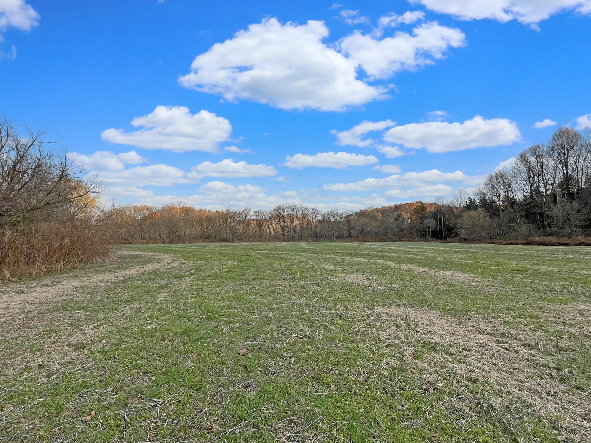 210 Hoha LN - Photo 58