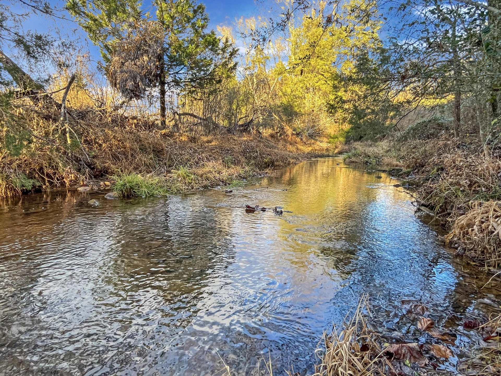 210 Hoha LN - Photo 66
