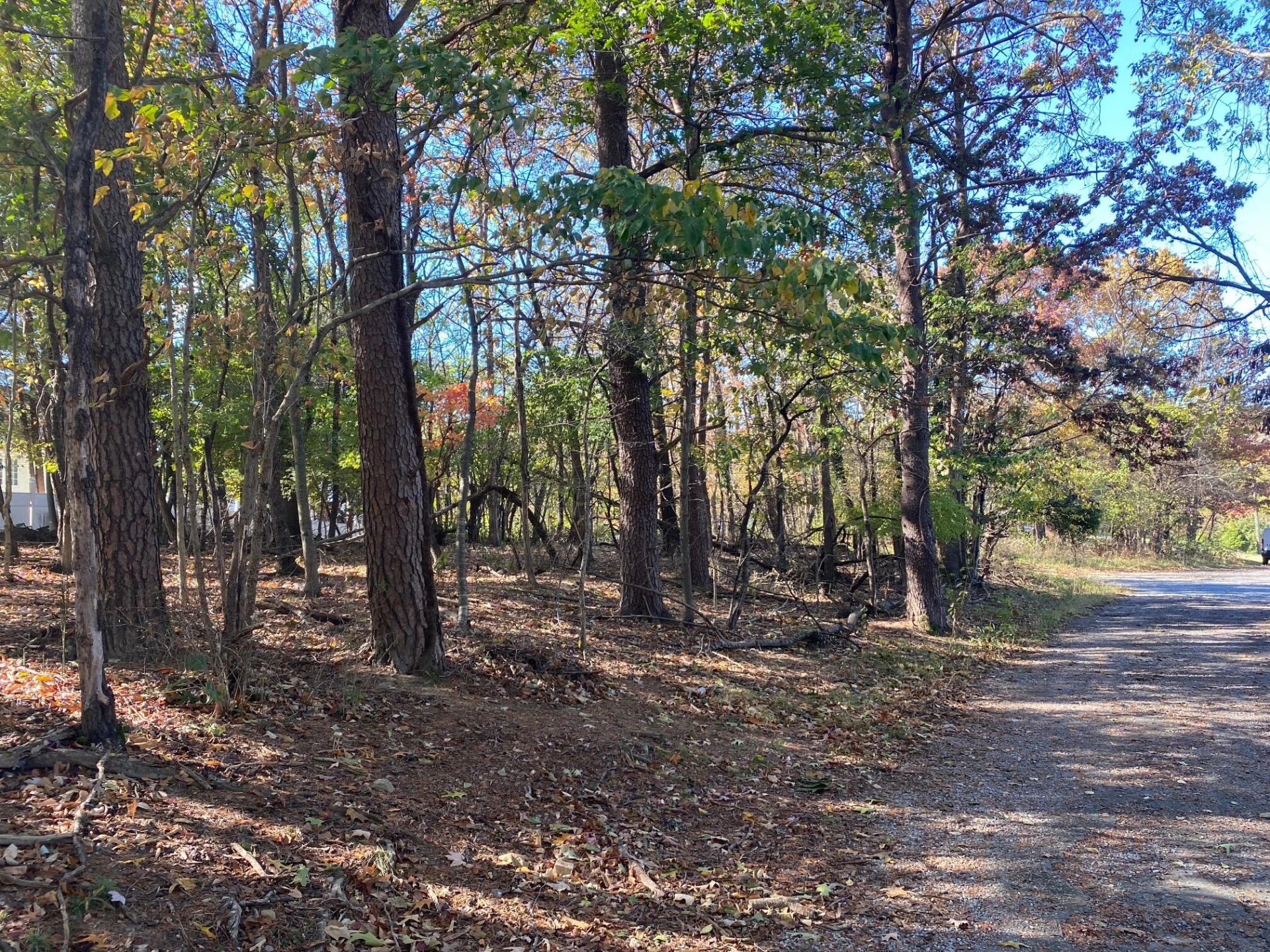 0 Quail LN - Photo 10